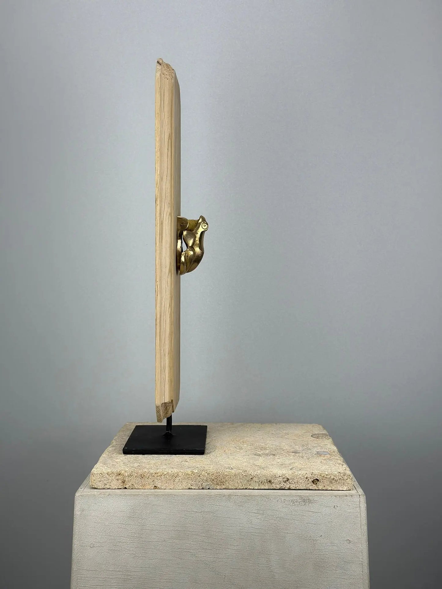 Heurtoir de porte Grenouille en Bronze