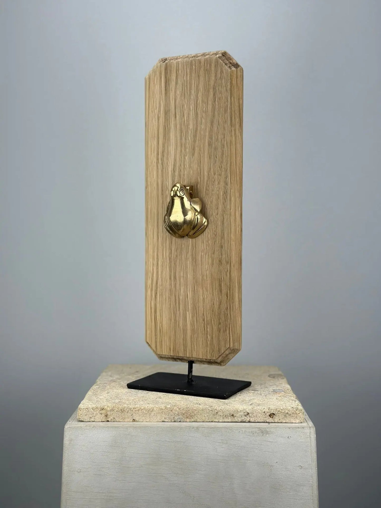 Heurtoir de porte Grenouille en Bronze