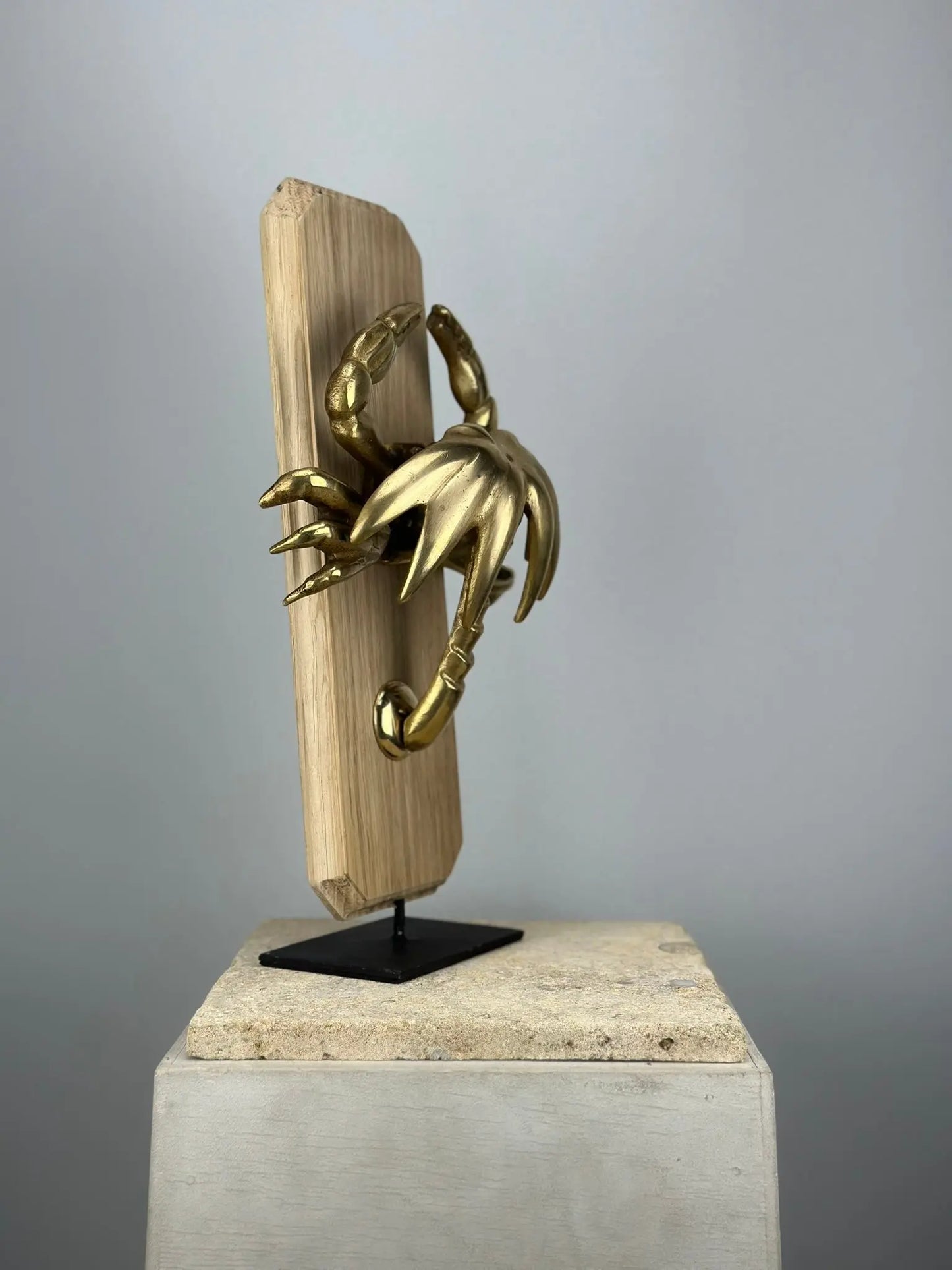 Heurtoir de porte Crabe en Bronze Doré