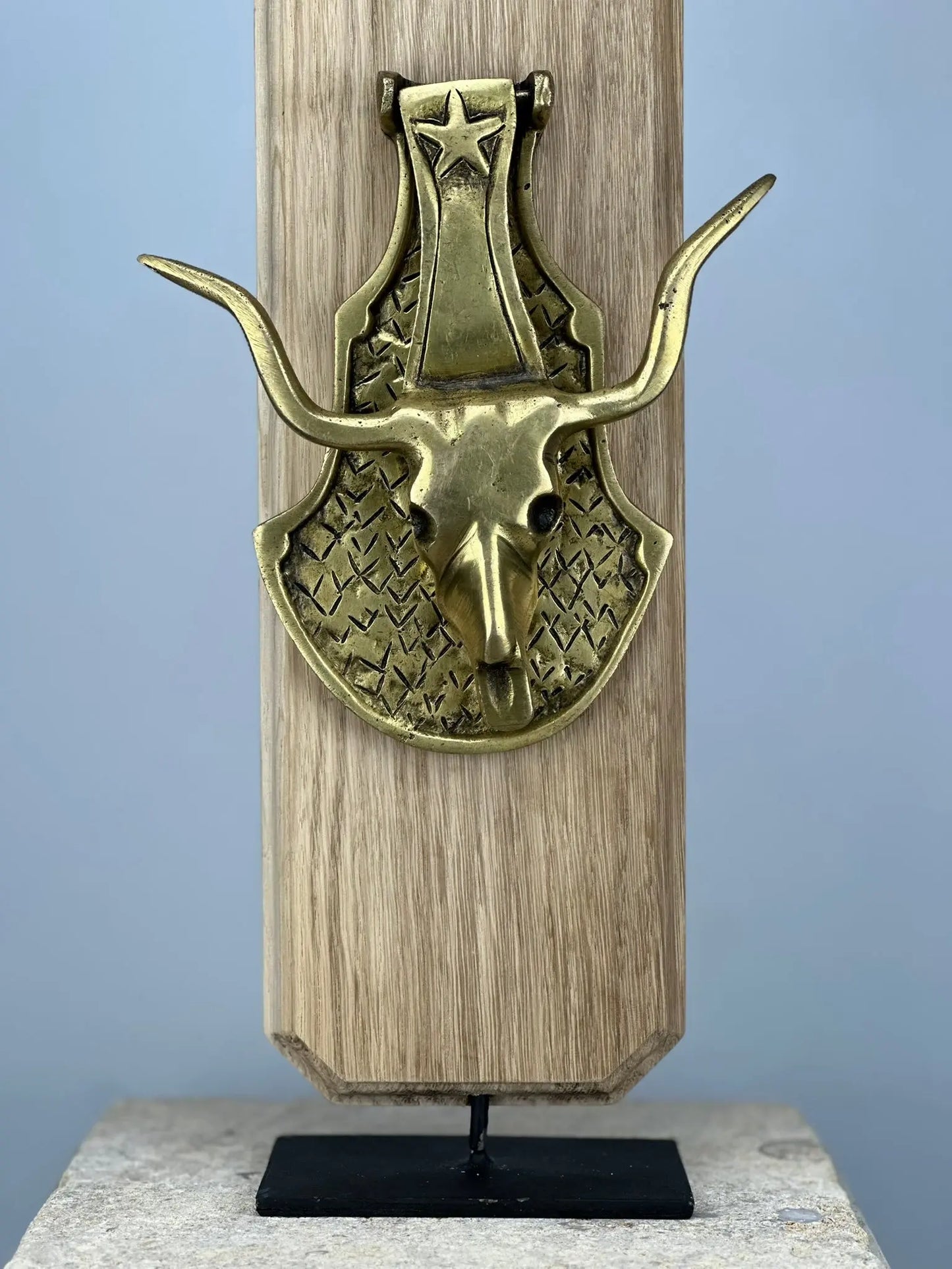 Heurtoir de porte Crâne de Longhorn en Bronze