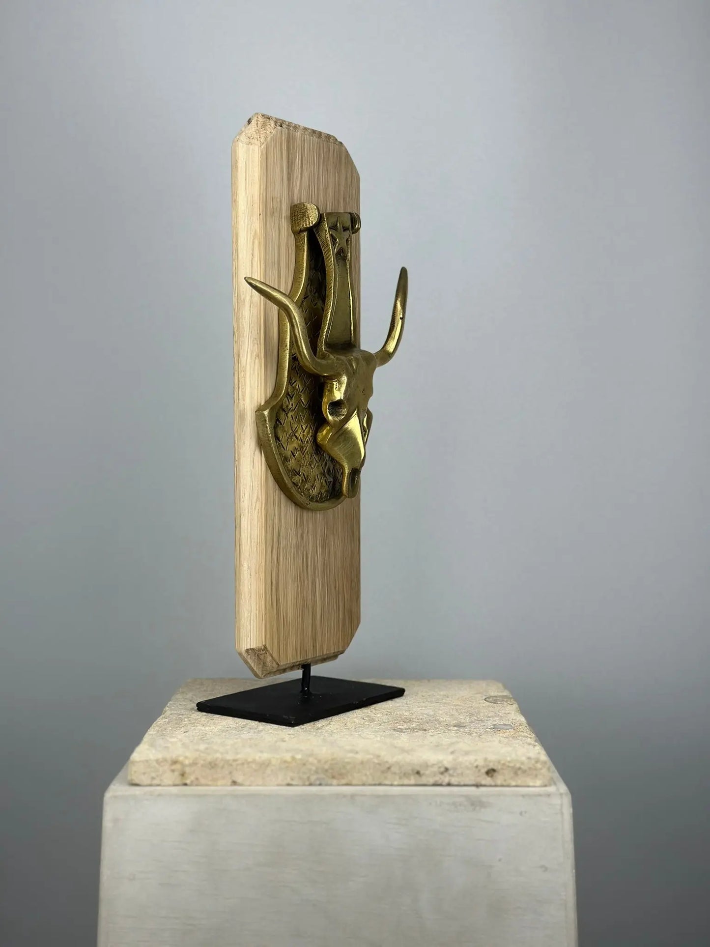 Heurtoir de porte Crâne de Longhorn en Bronze