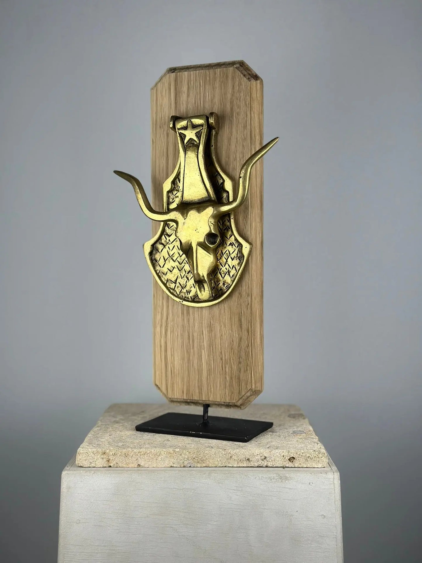 Heurtoir de porte Crâne de Longhorn en Bronze