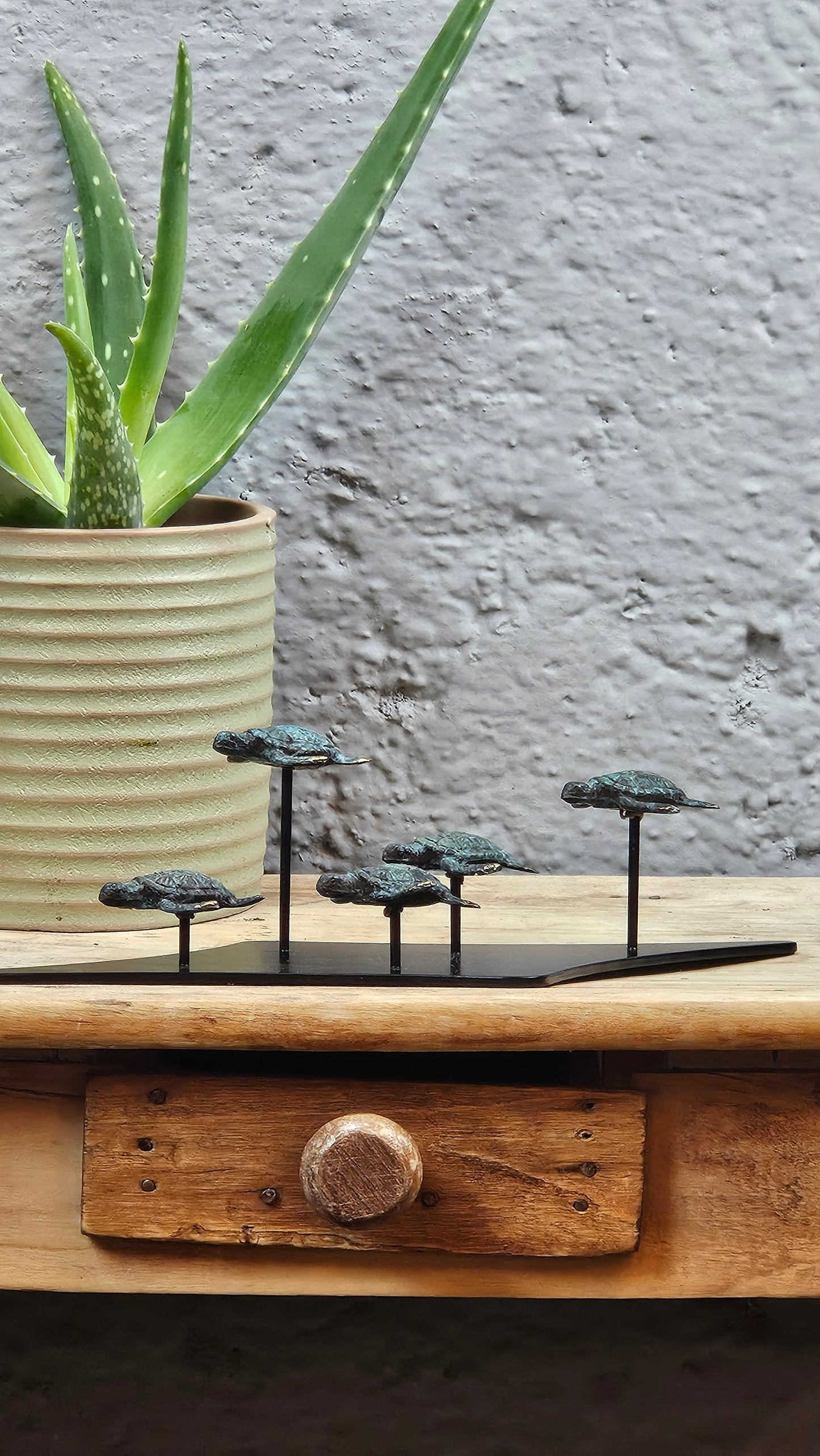 Petit famille tortue en bronze Tokolausanne