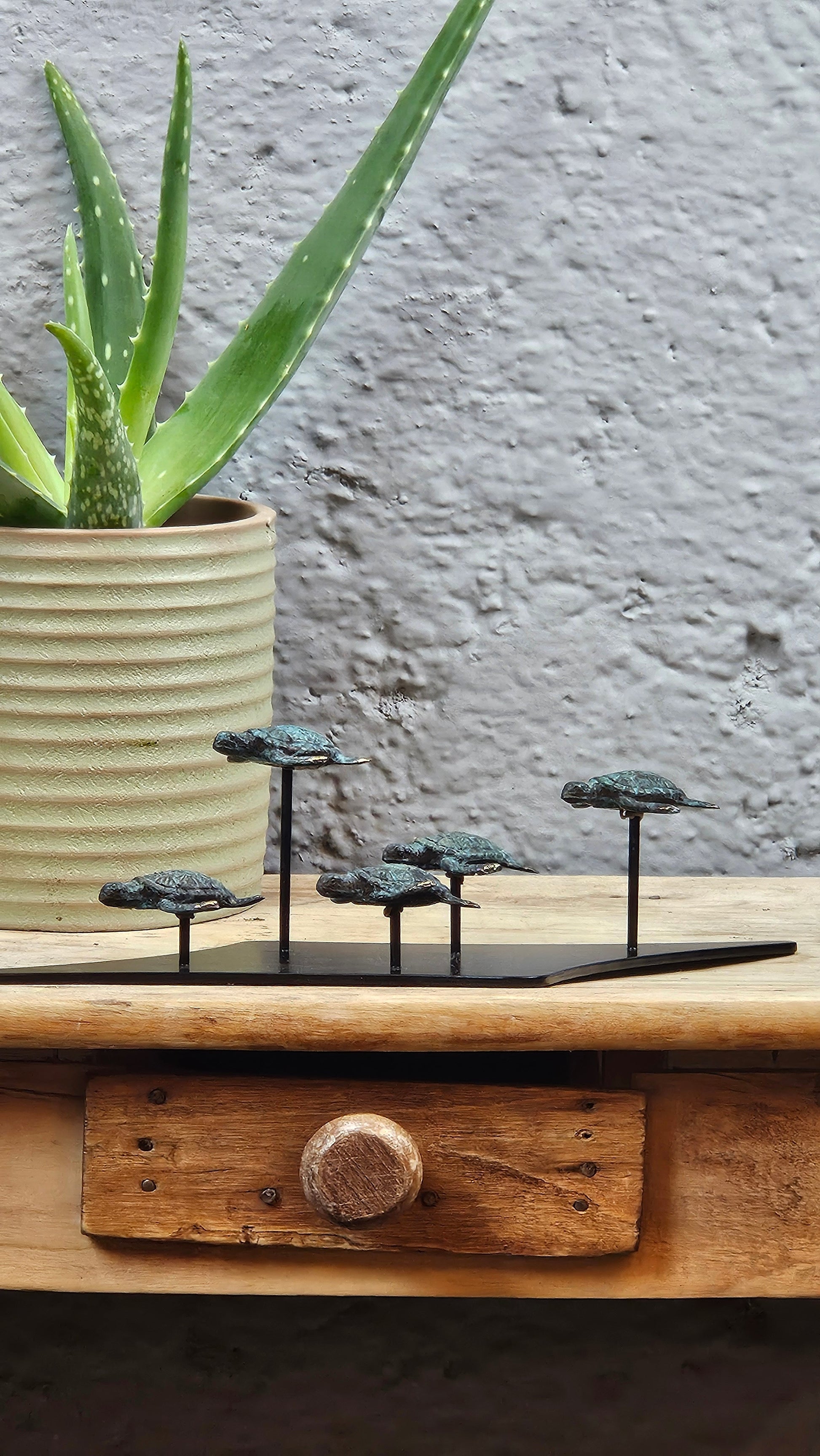 Petit famille tortue en bronze Tokolausanne