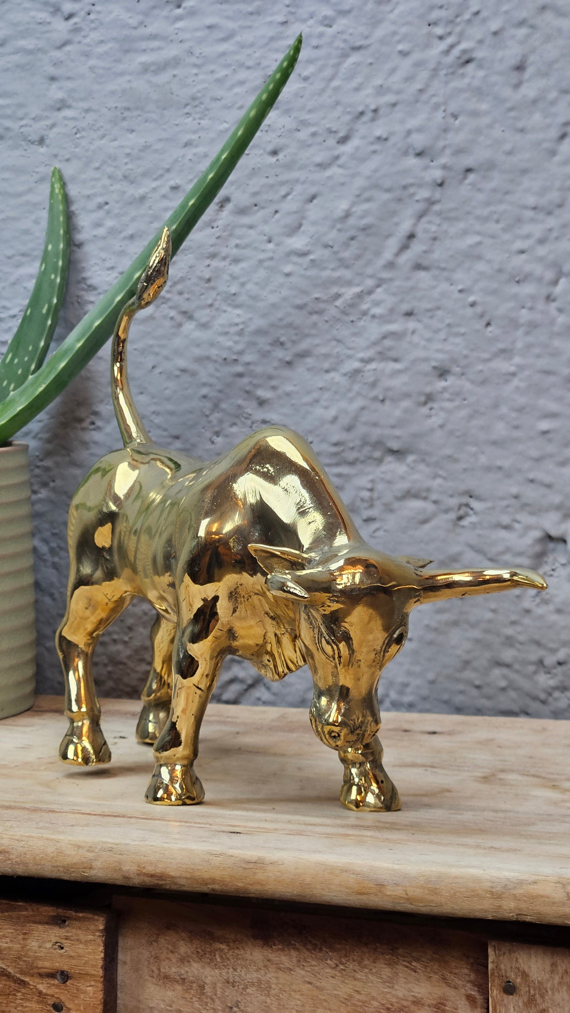 Petit torreau or Tokolausanne