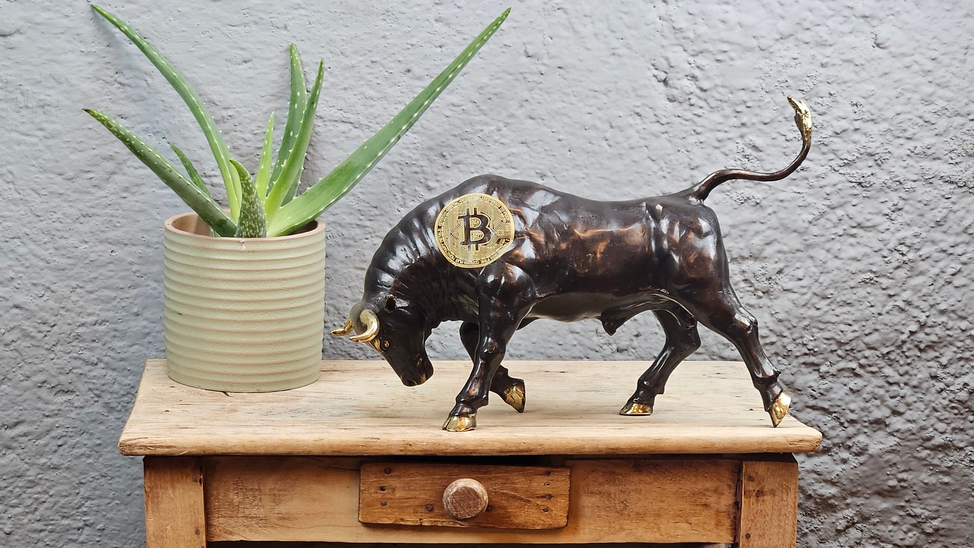 Torreau bitcoin Tokolausanne