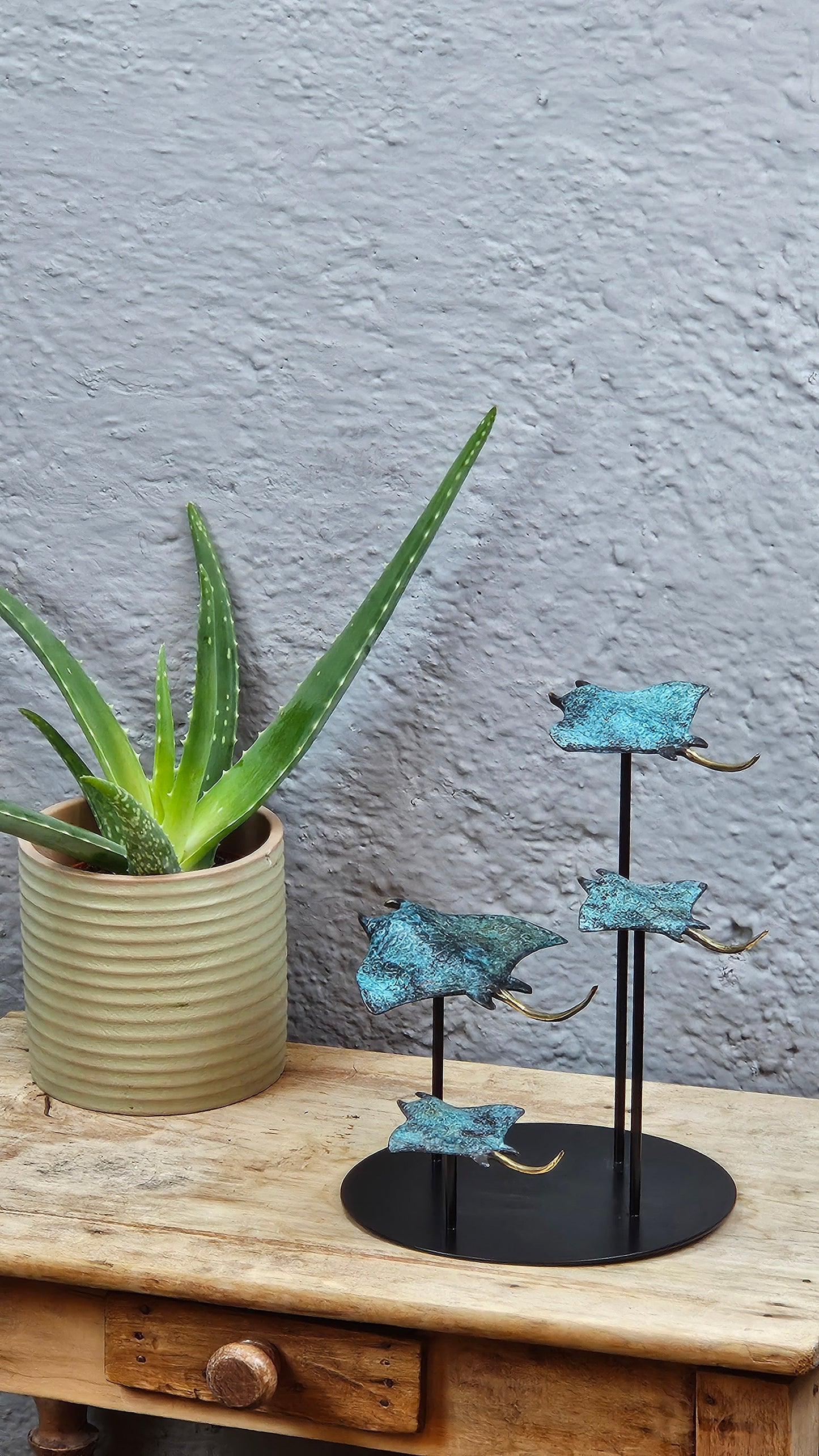 4 raies manta en bronze socle rond Tokolausanne