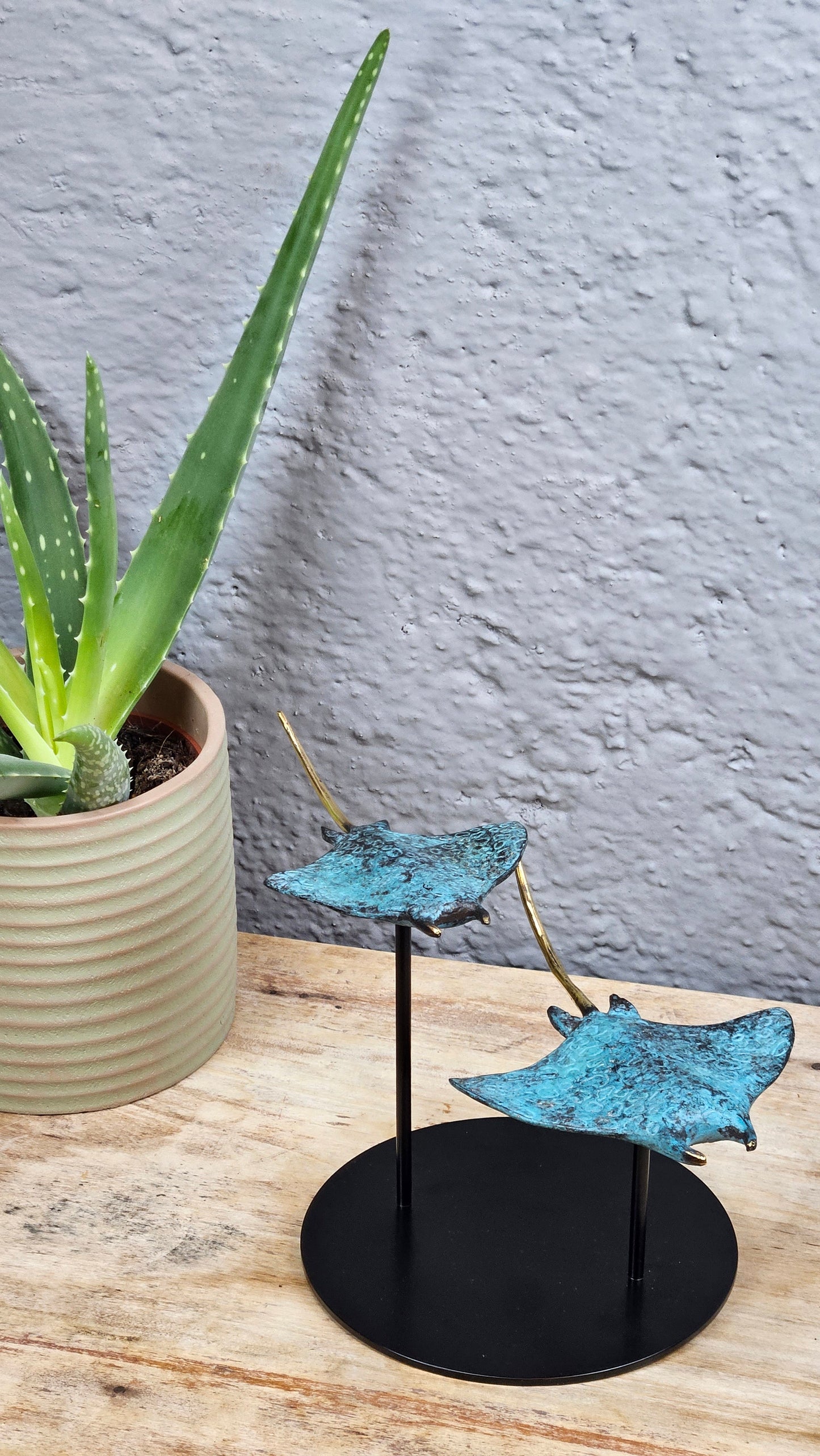 Duo de raies manta en bronze Tokolausanne