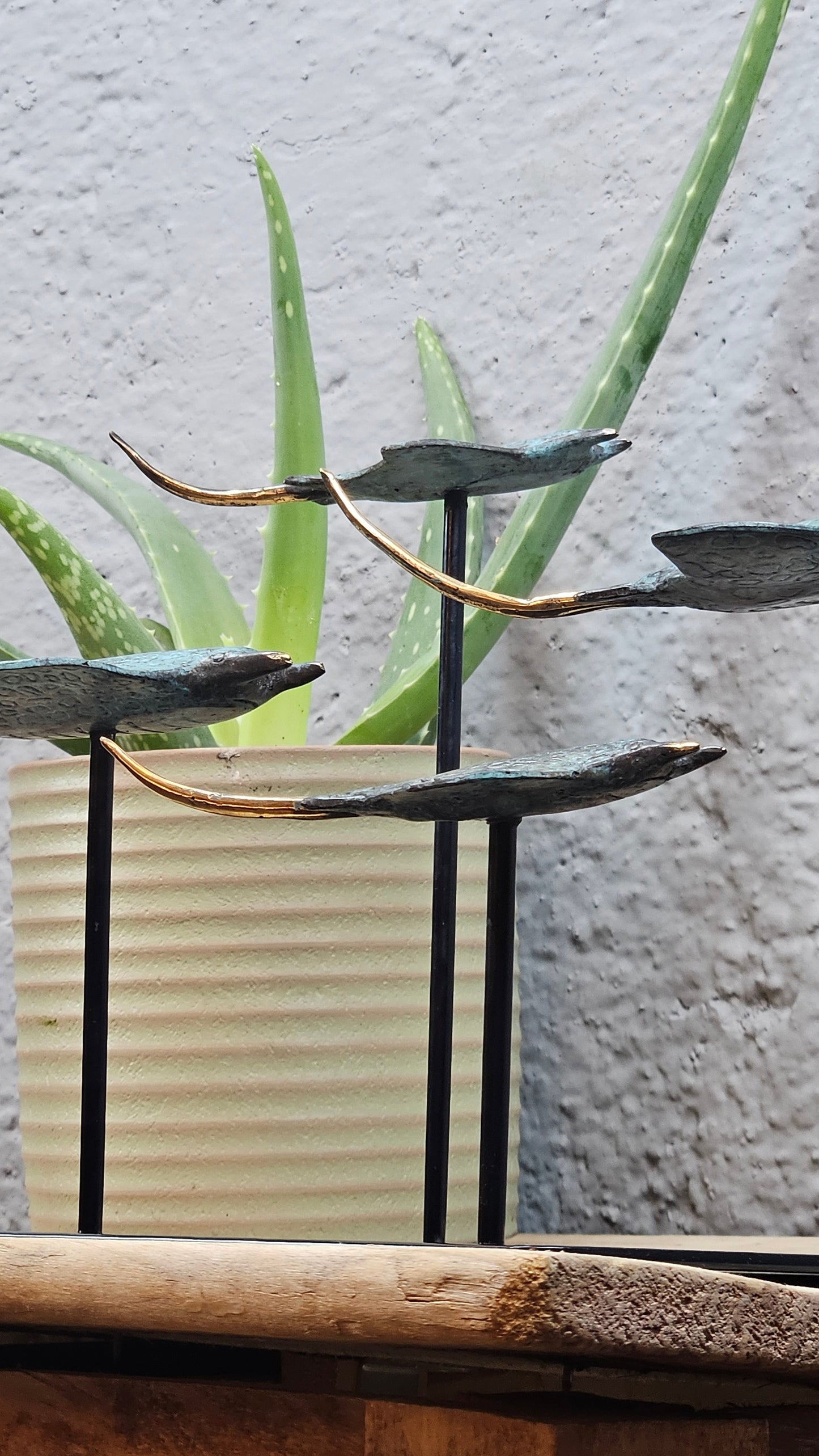 4 raies manta en bronze socle carré Tokolausanne