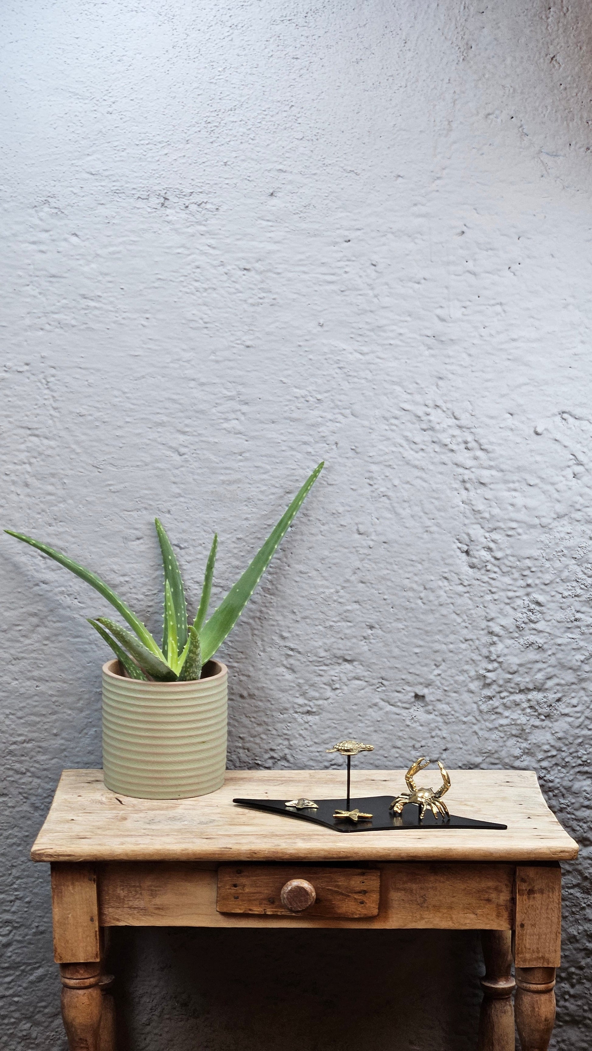 Microcosme marin en bronze Tokolausanne