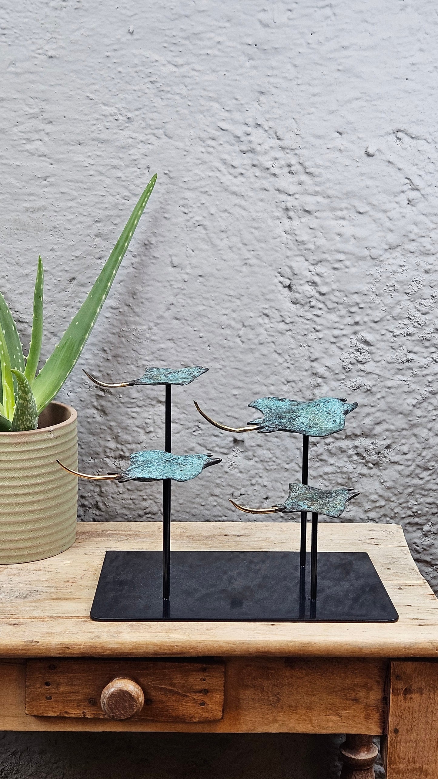 4 raies manta en bronze socle carré Tokolausanne