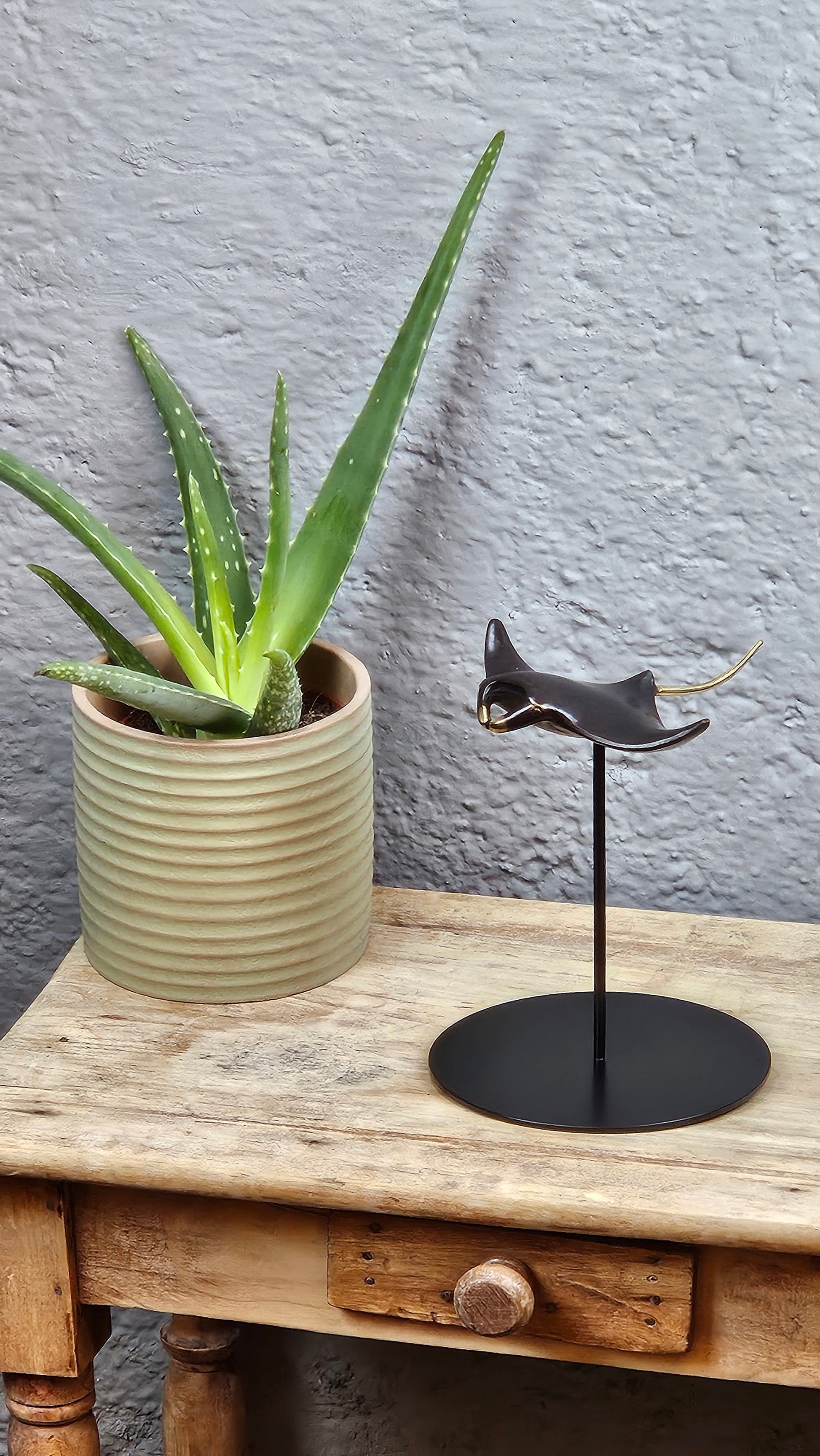 Raie manta en bronze Tokolausanne