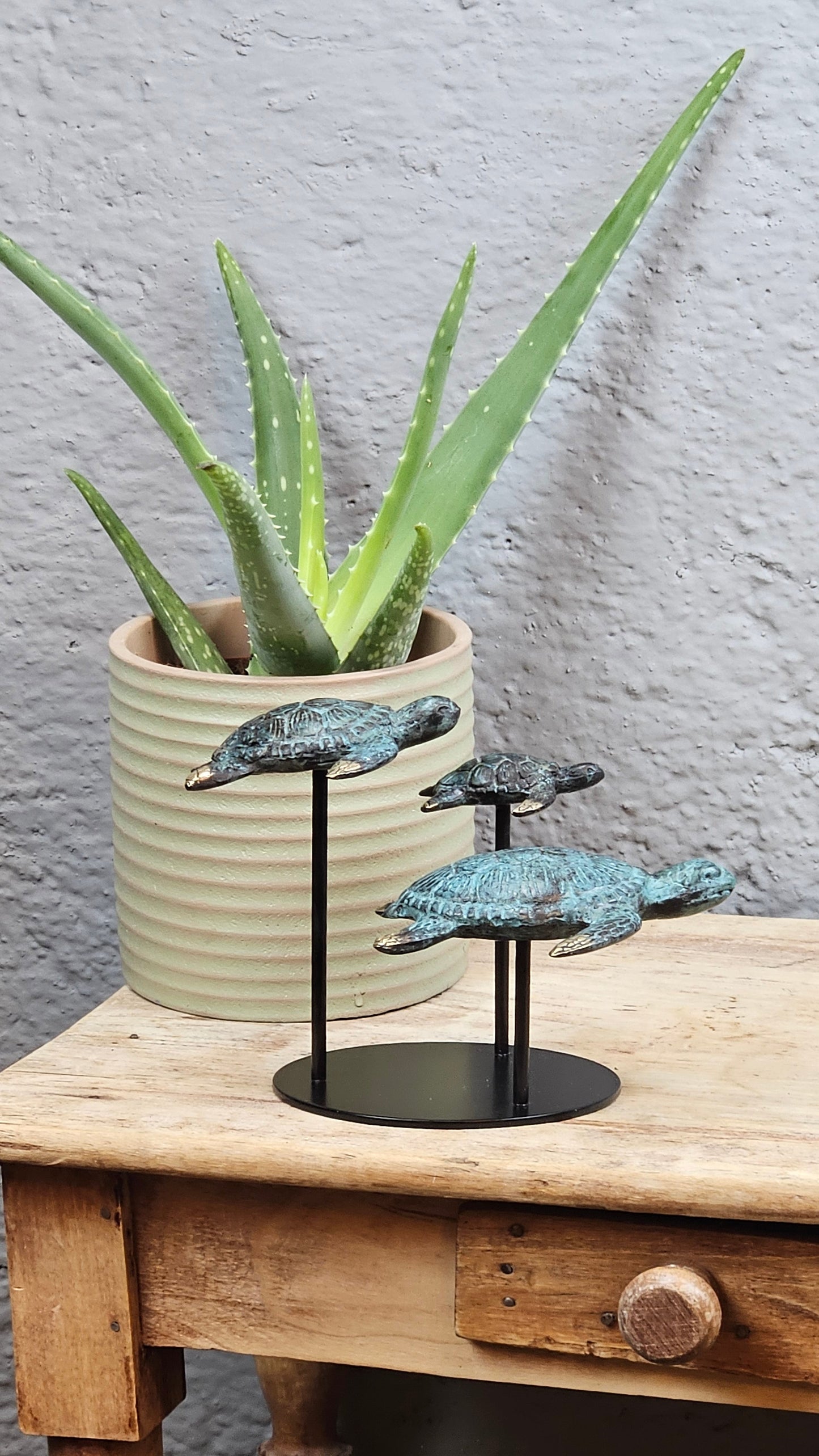 Famille tortue en bronze Tokolausanne