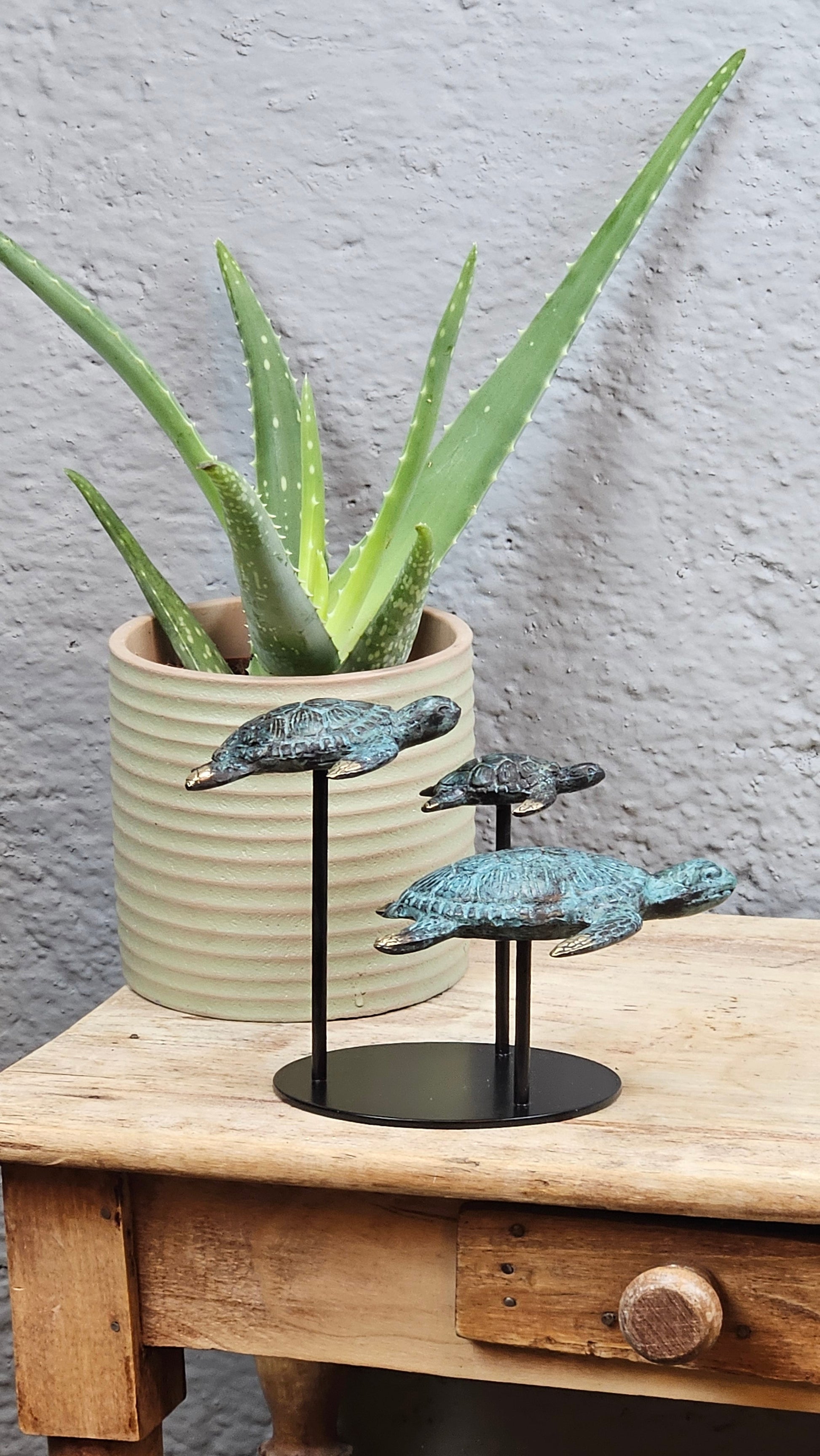 Famille tortue en bronze Tokolausanne