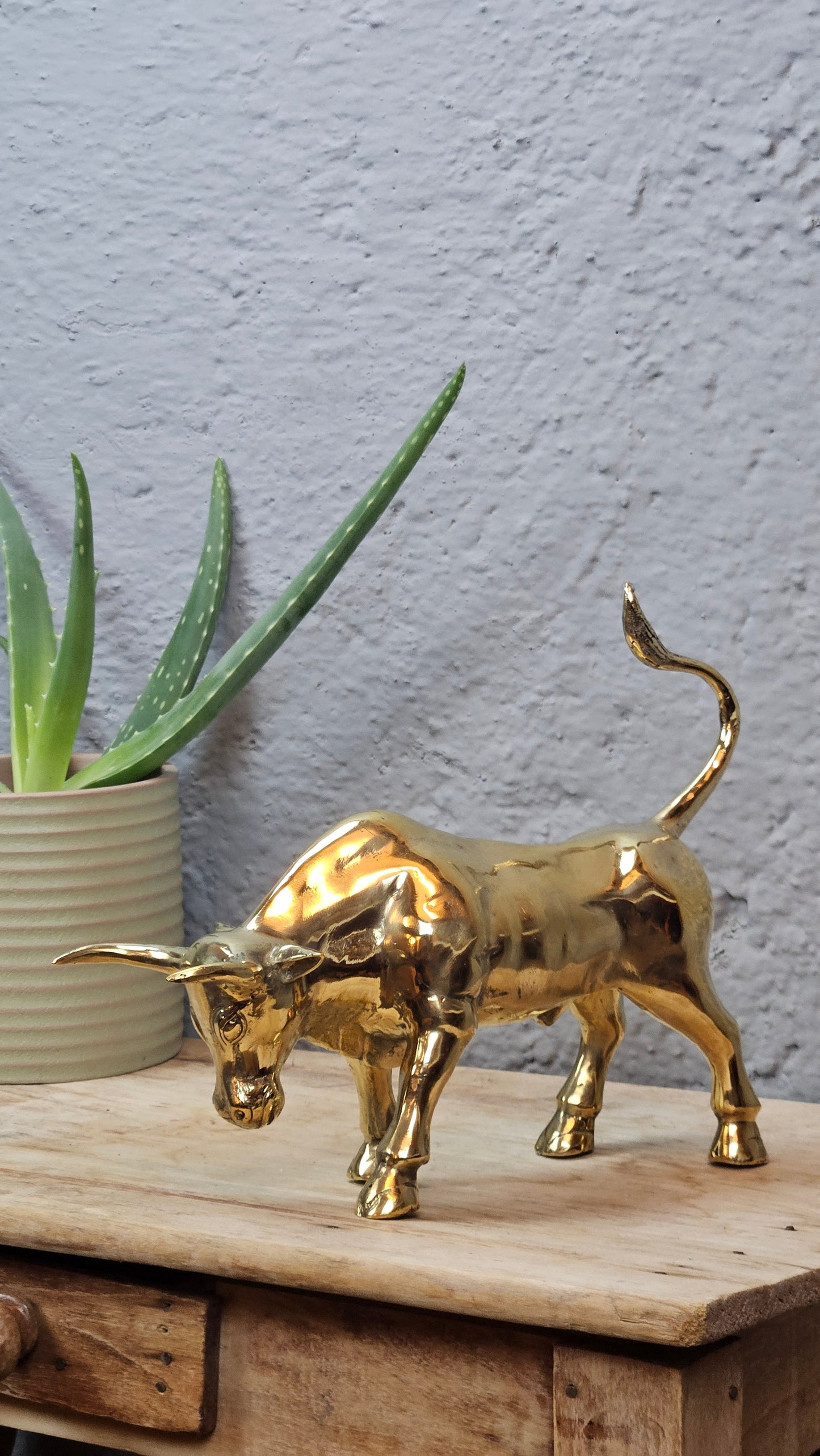 Petit torreau or Tokolausanne