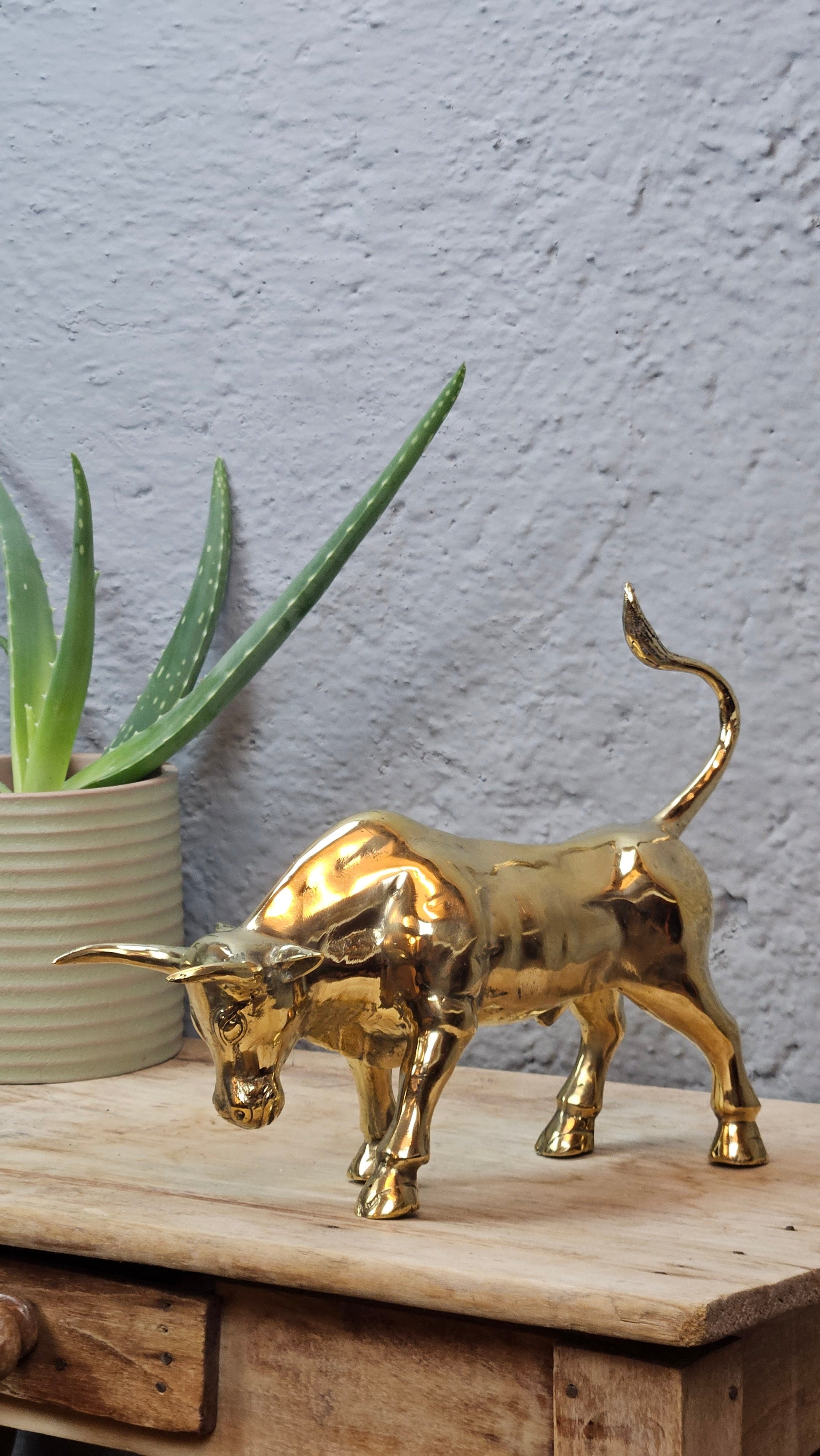 Petit torreau or Tokolausanne