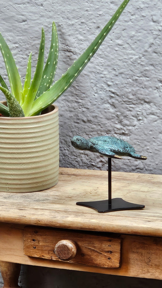 Tortue en bronze Tokolausanne