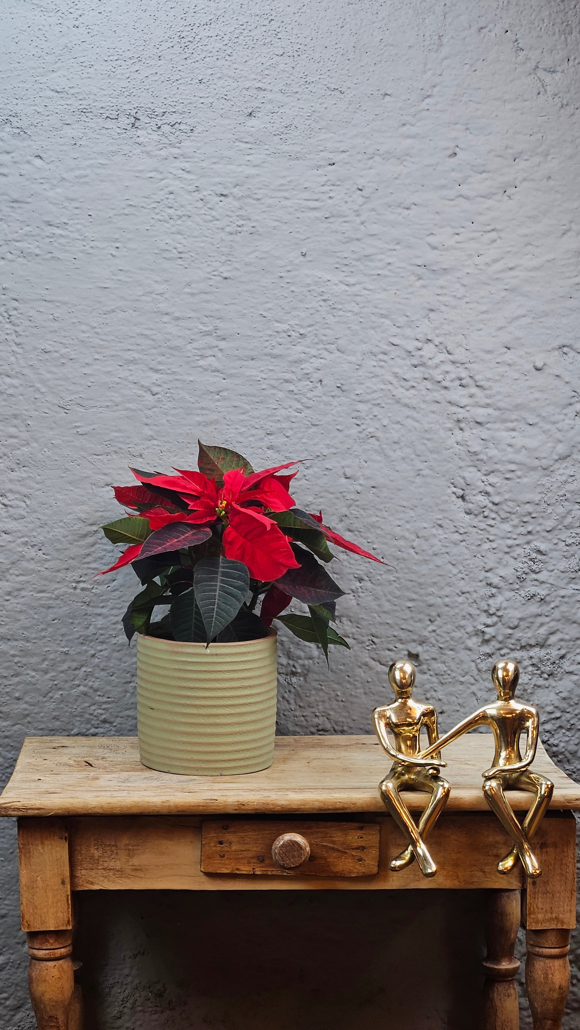 Couple amoureux or Tokolausanne