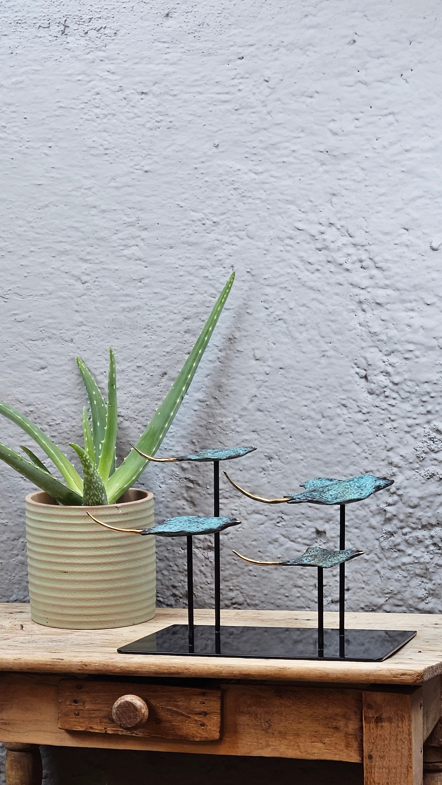 4 raies manta en bronze socle carré Tokolausanne