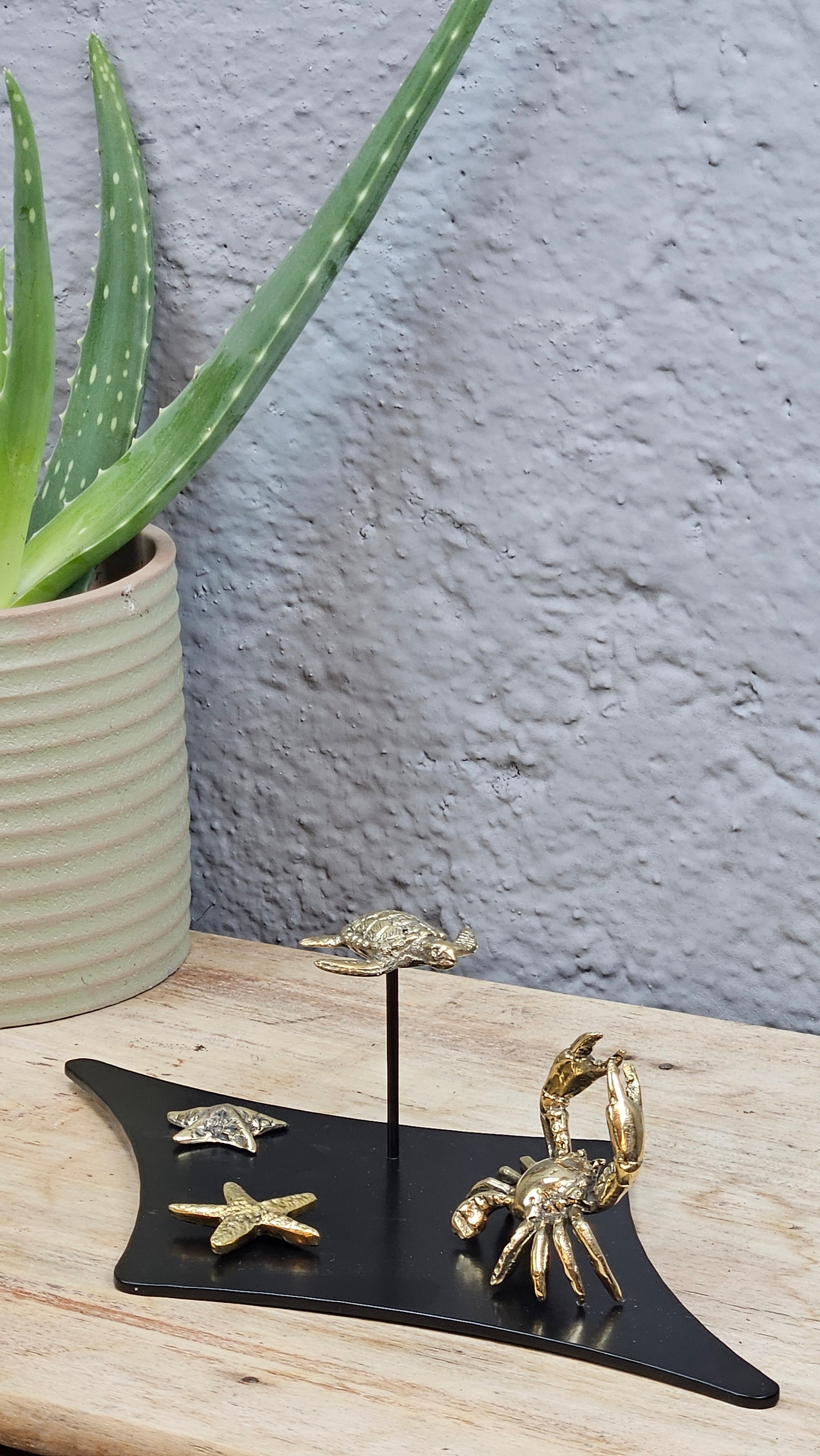 Microcosme marin en bronze Tokolausanne