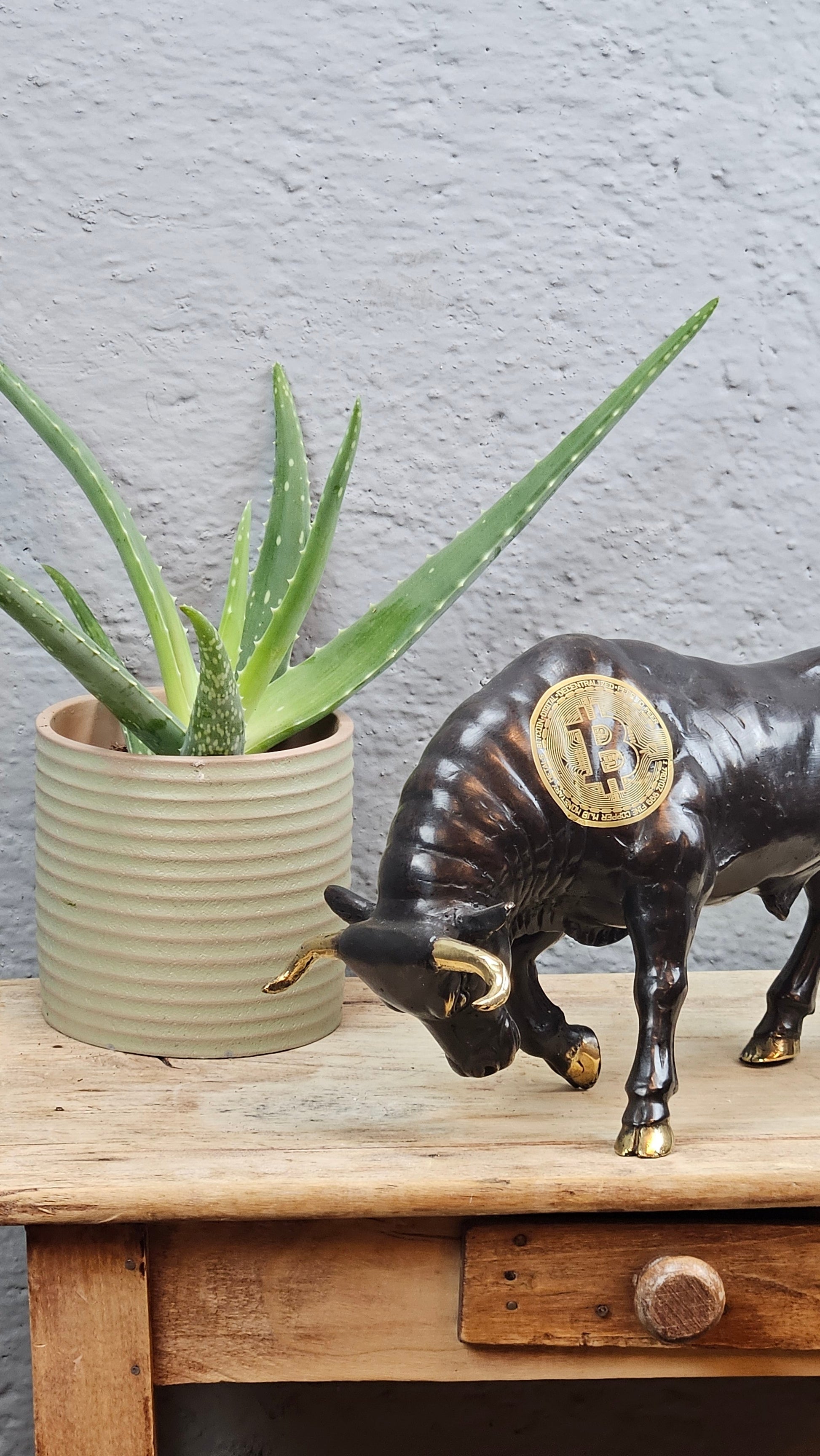 Torreau bitcoin Tokolausanne