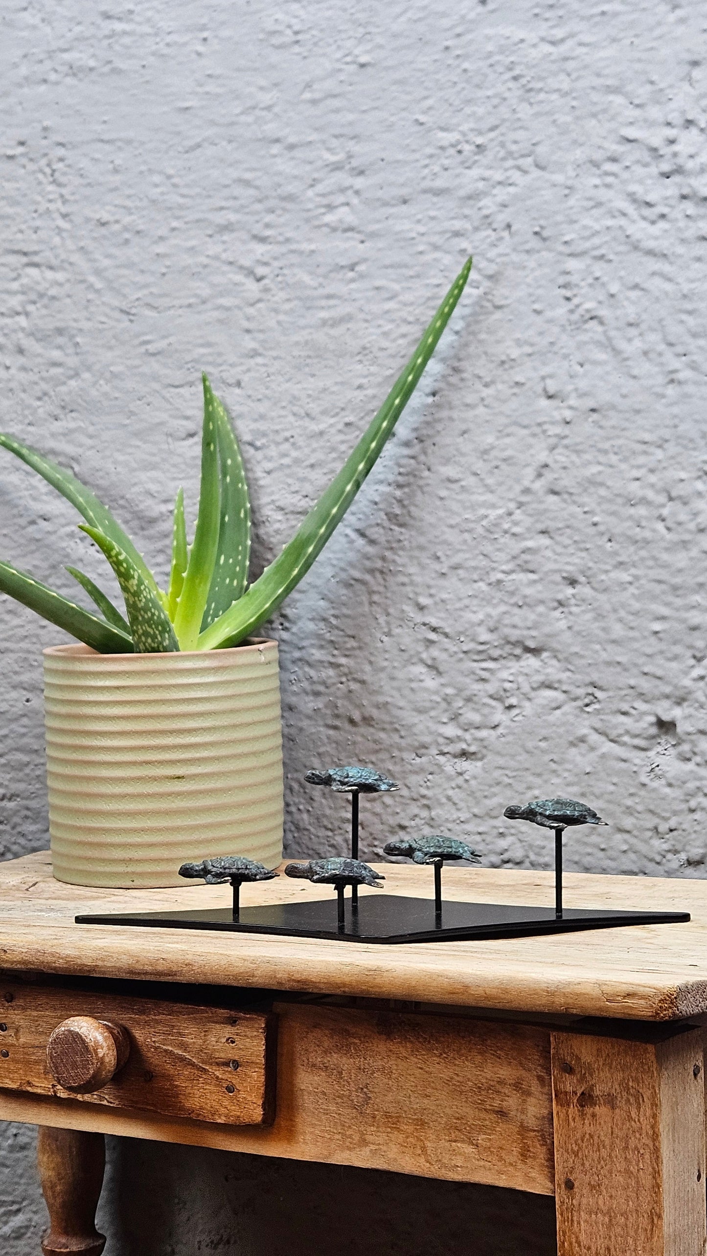 Petit famille tortue en bronze Tokolausanne