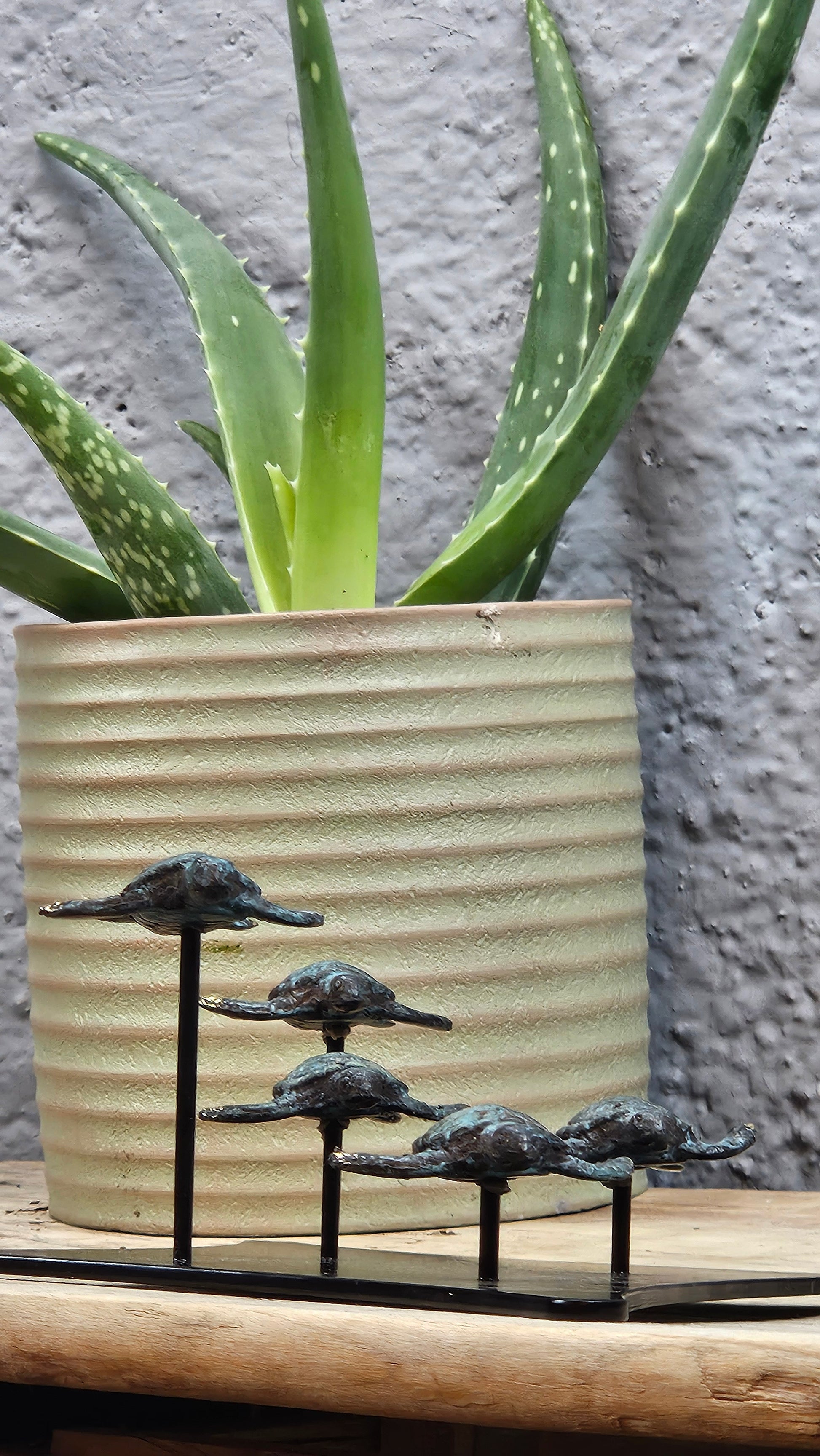 Petit famille tortue en bronze Tokolausanne