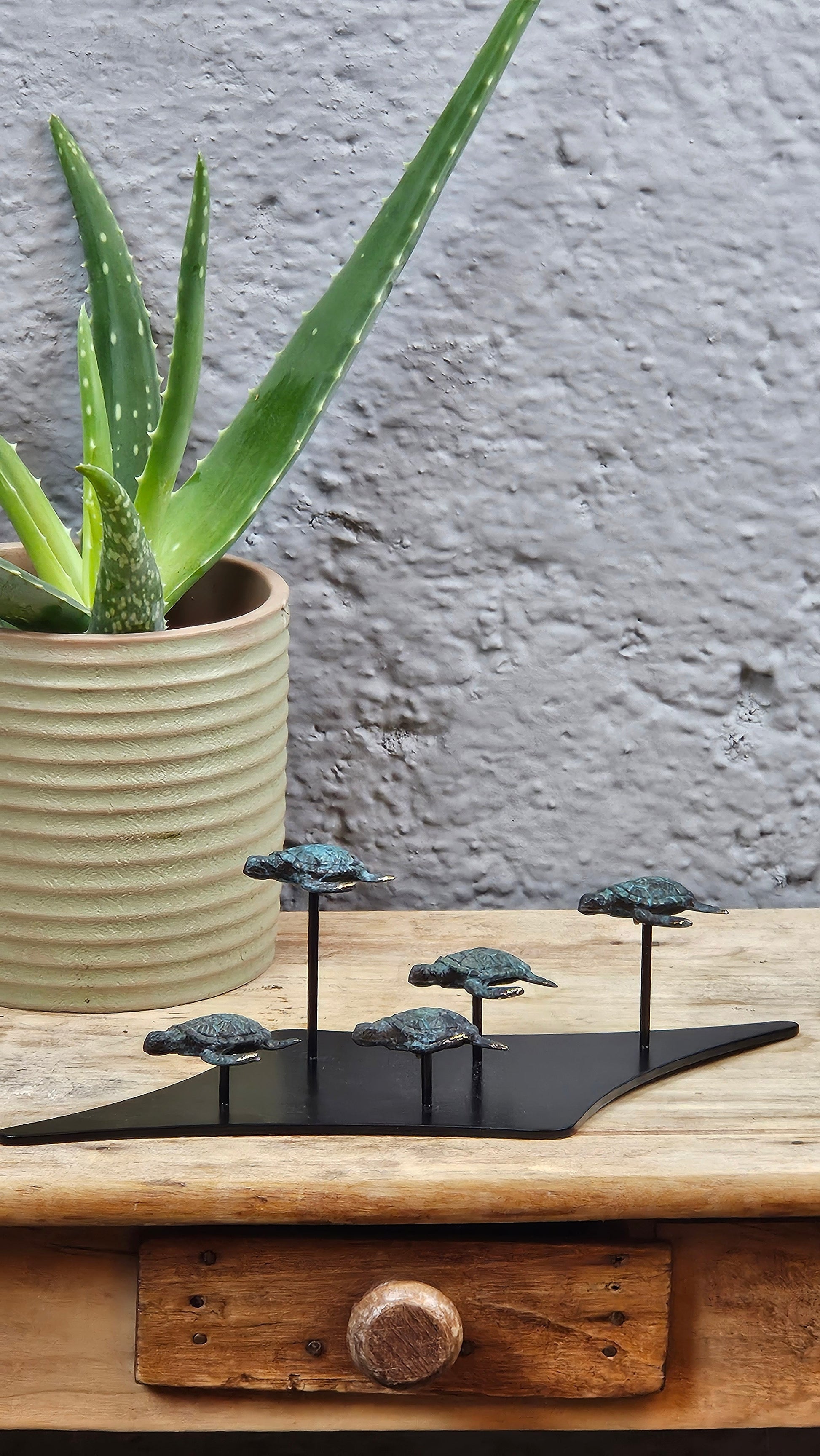 Petit famille tortue en bronze Tokolausanne