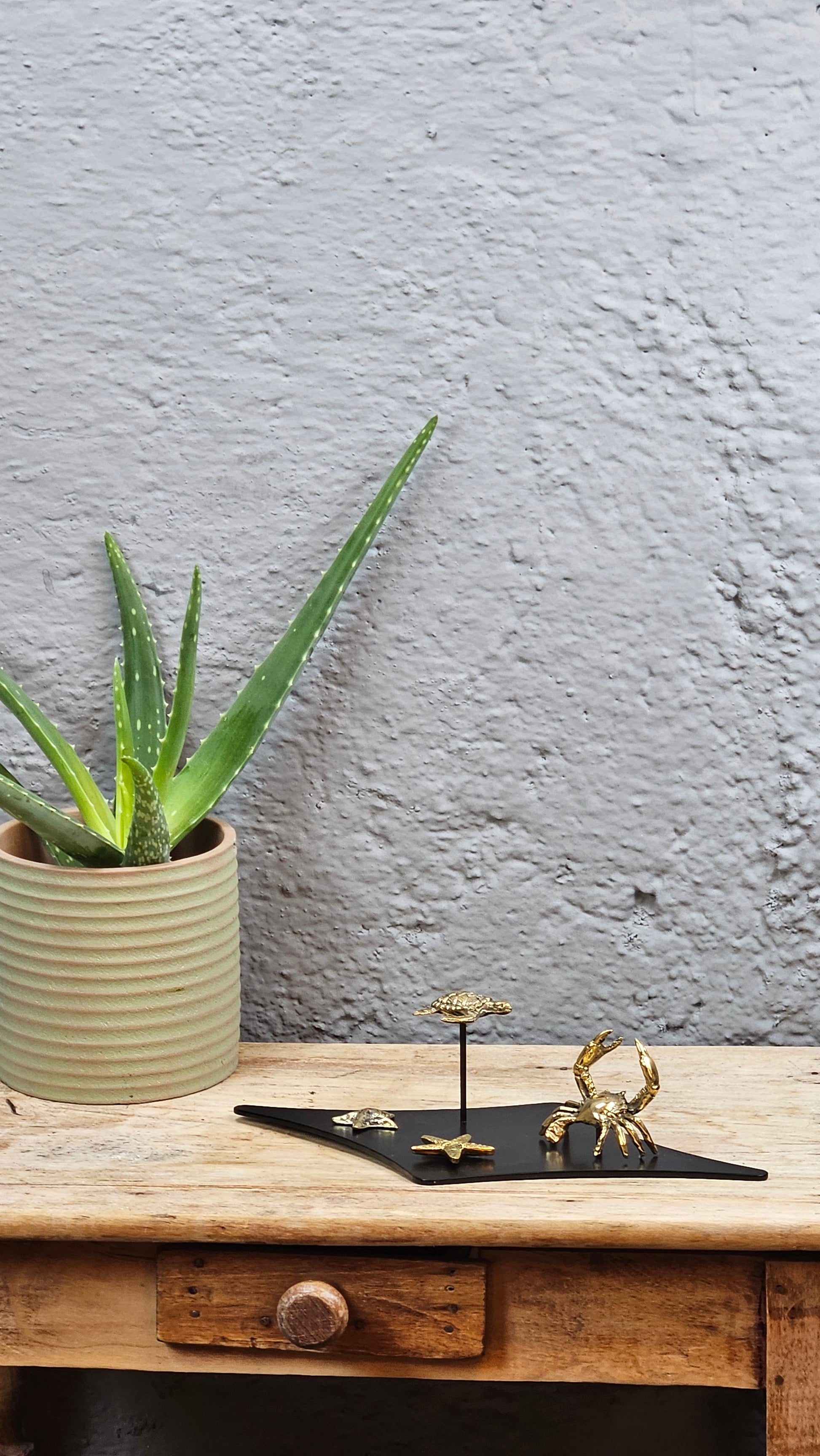 Microcosme marin en bronze Tokolausanne