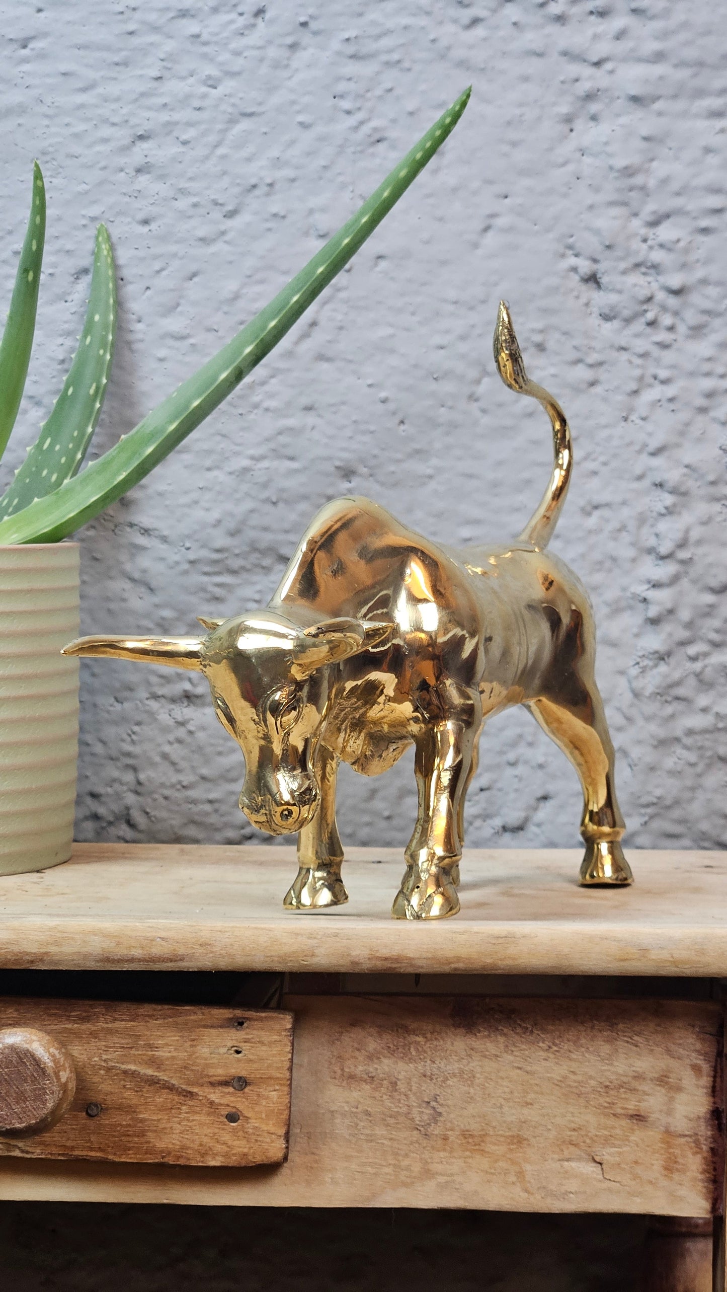 Petit torreau or Tokolausanne