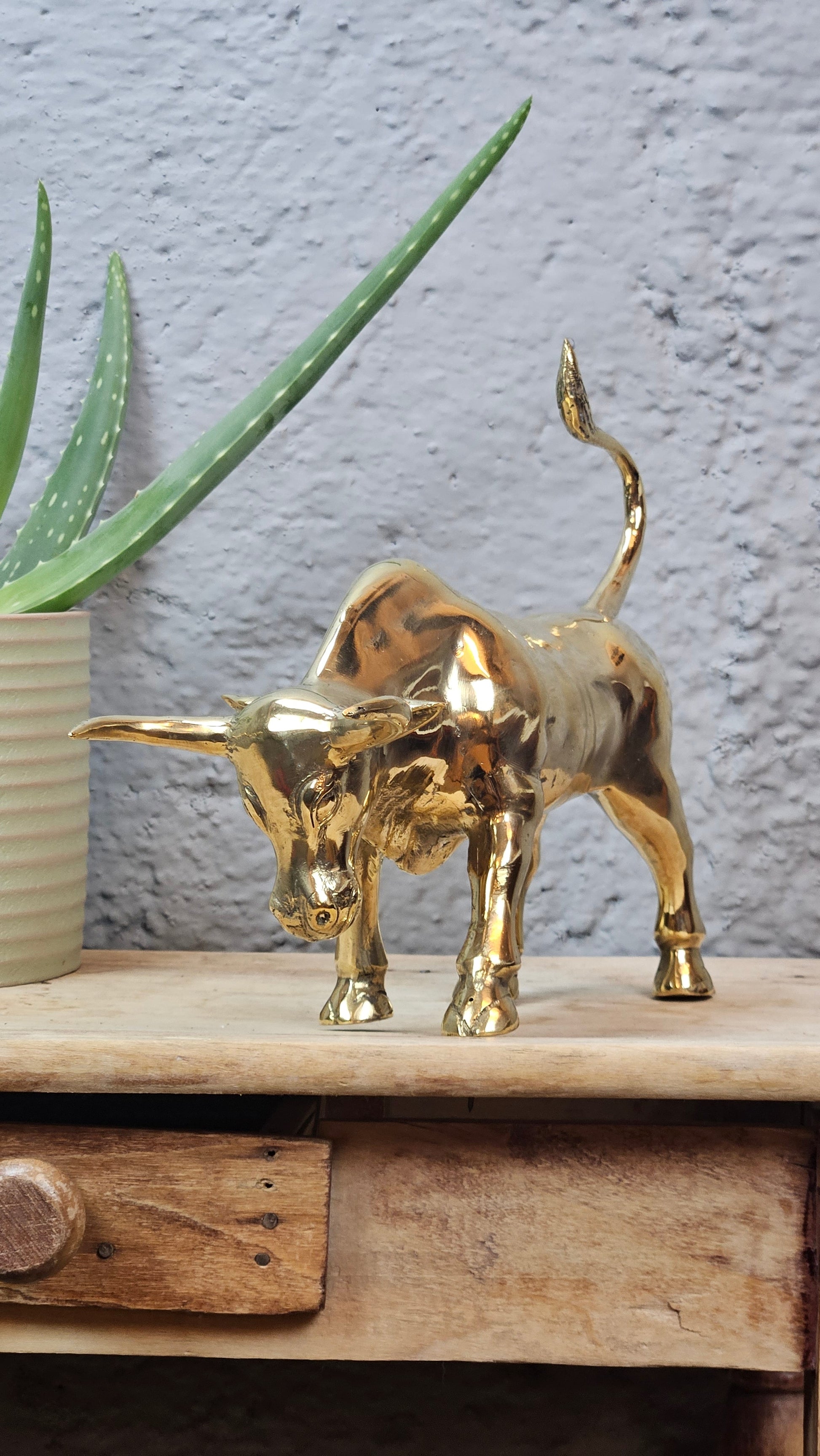 Petit torreau or Tokolausanne