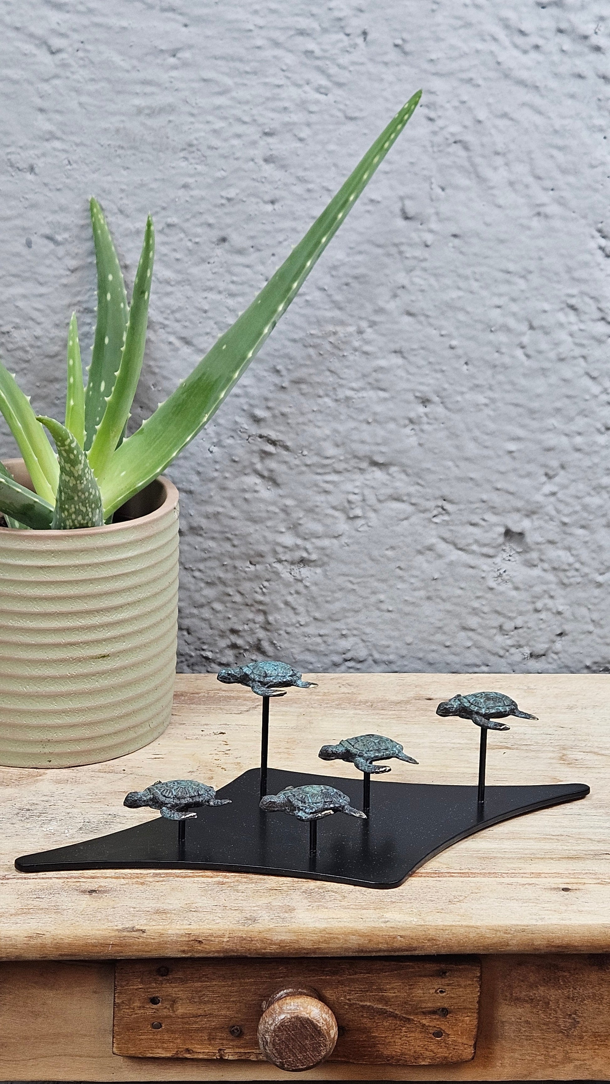 Petit famille tortue en bronze Tokolausanne