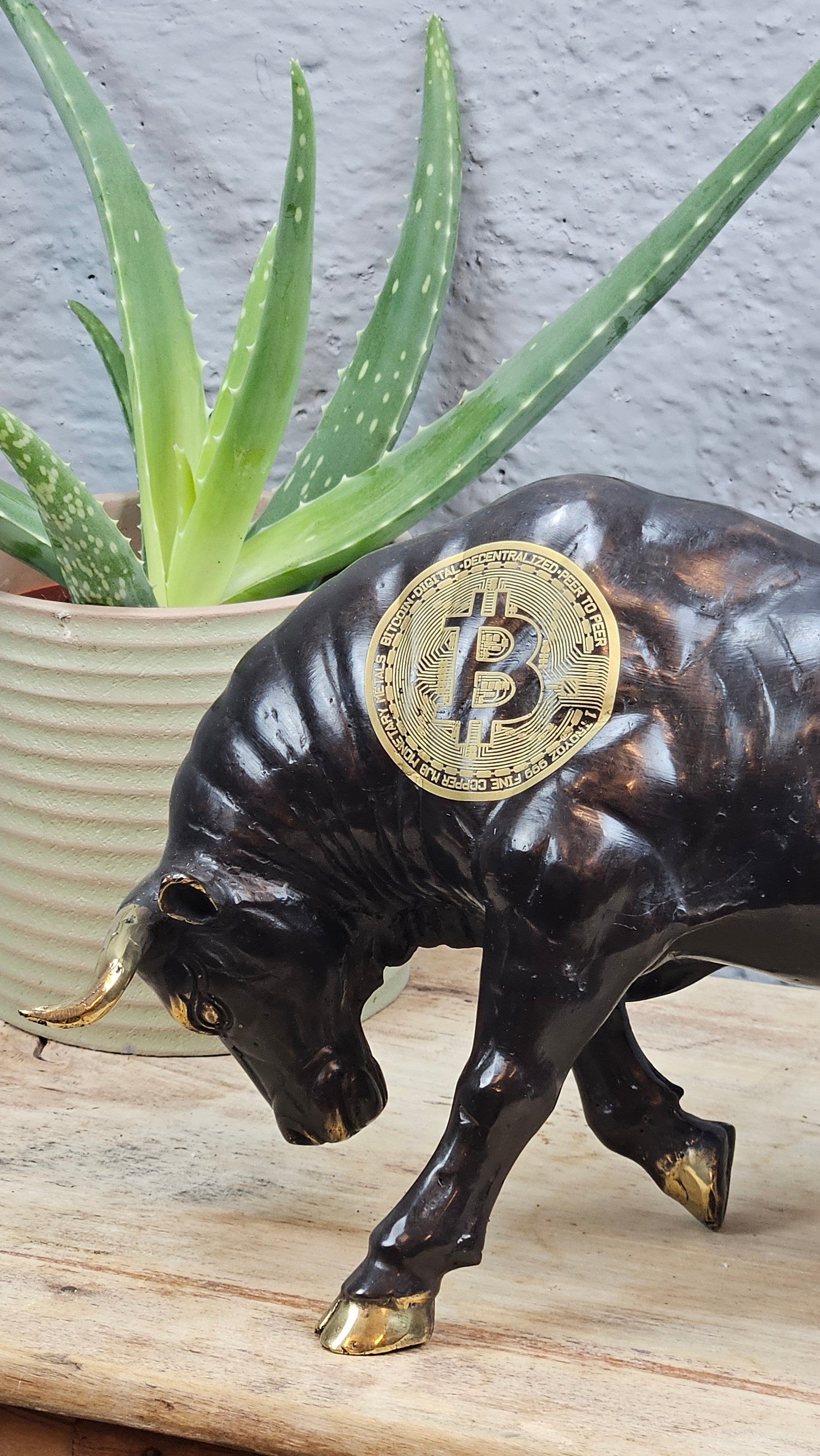 Torreau bitcoin Tokolausanne