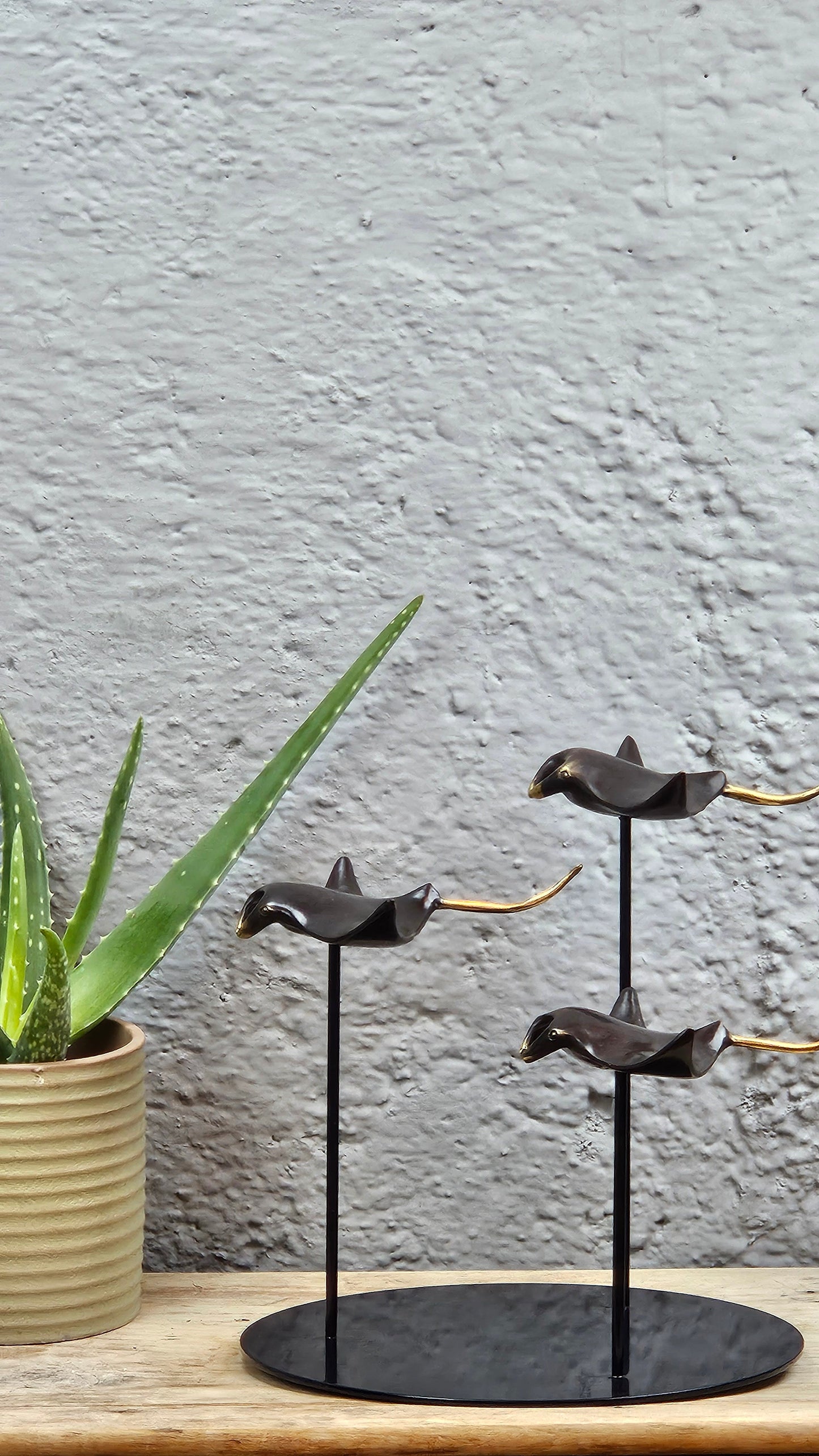 4 raies manta noir sur socle rond Tokolausanne