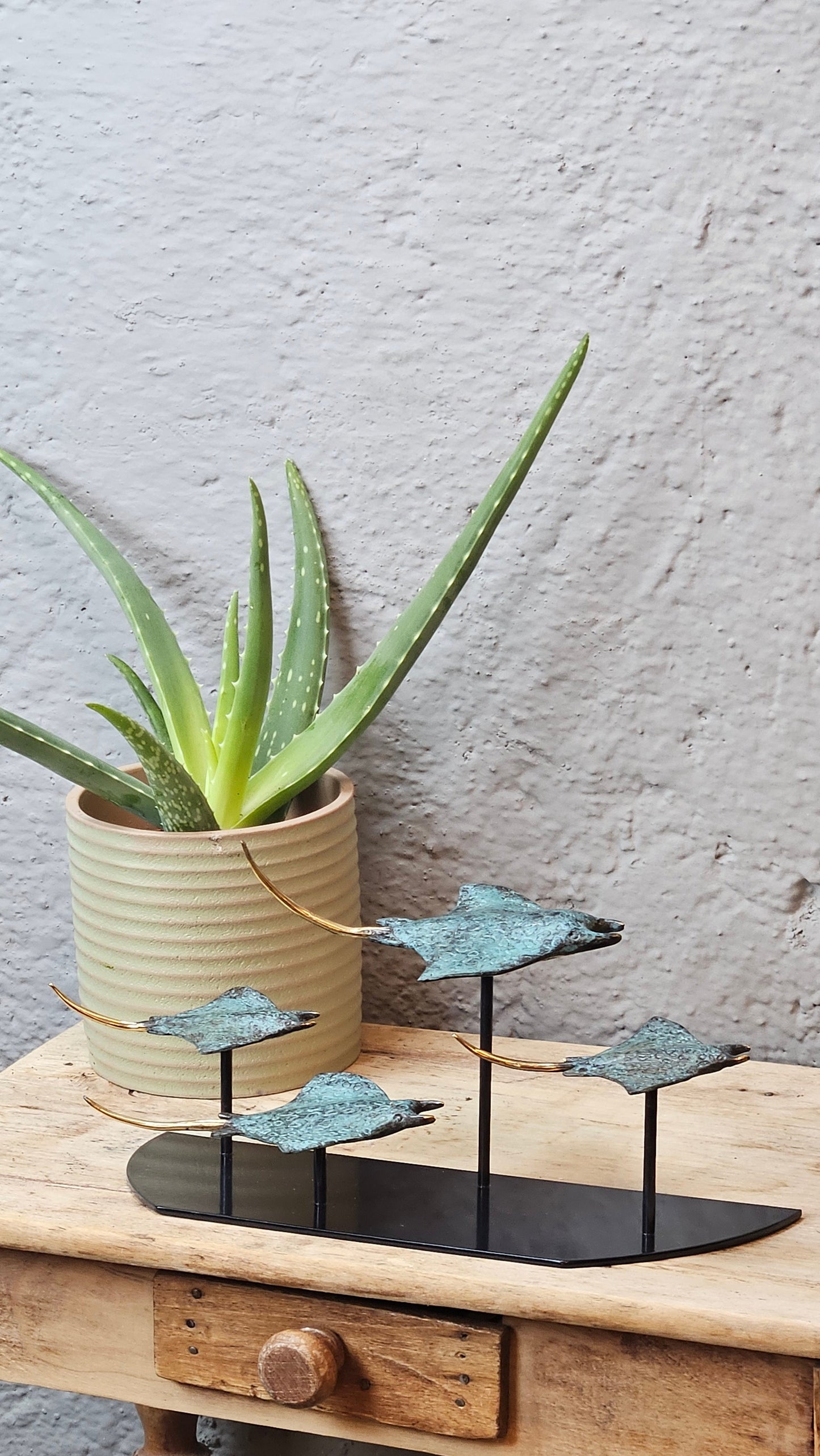 4 raies manta en bronze Tokolausanne