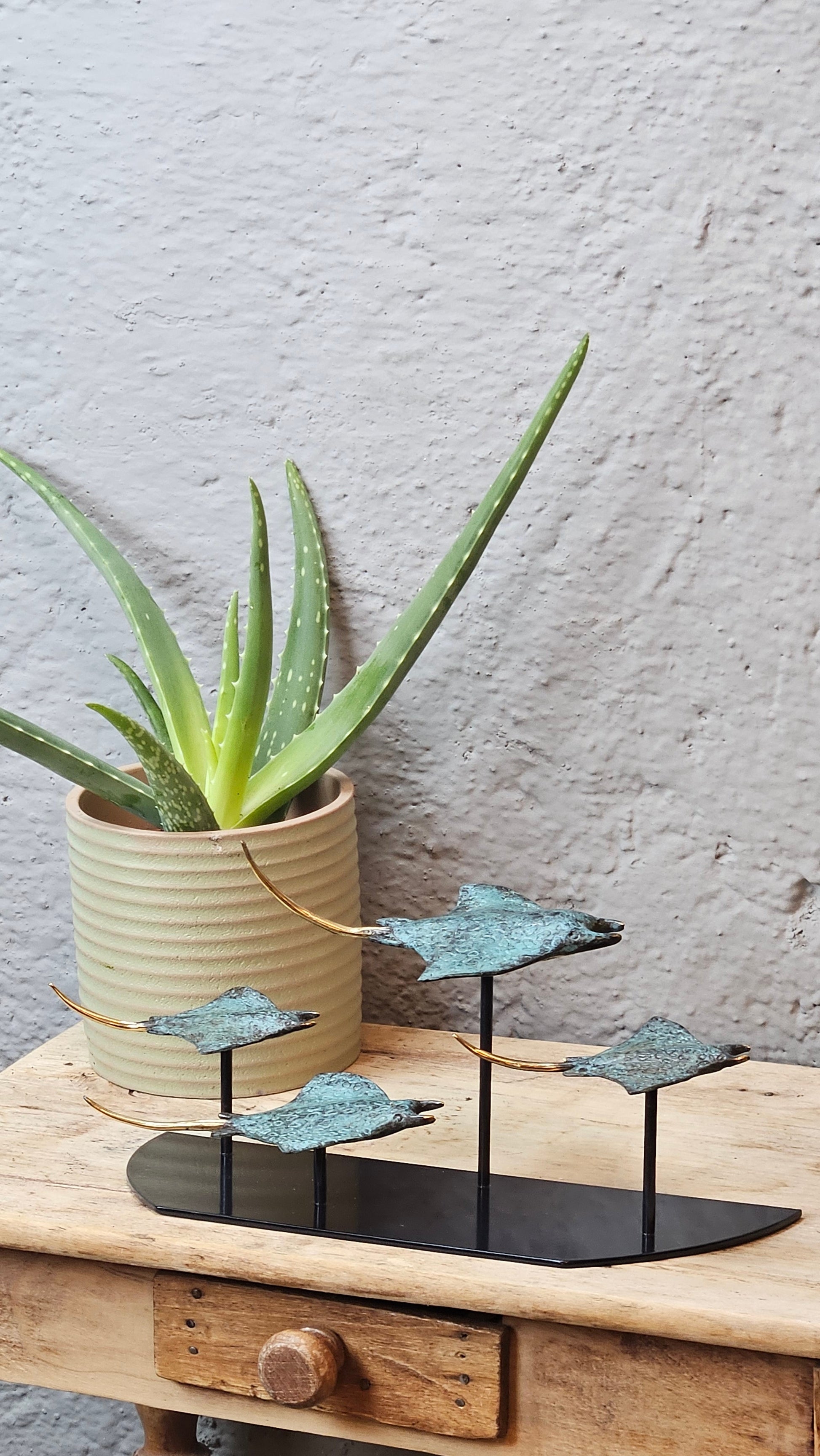 4 raies manta en bronze Tokolausanne