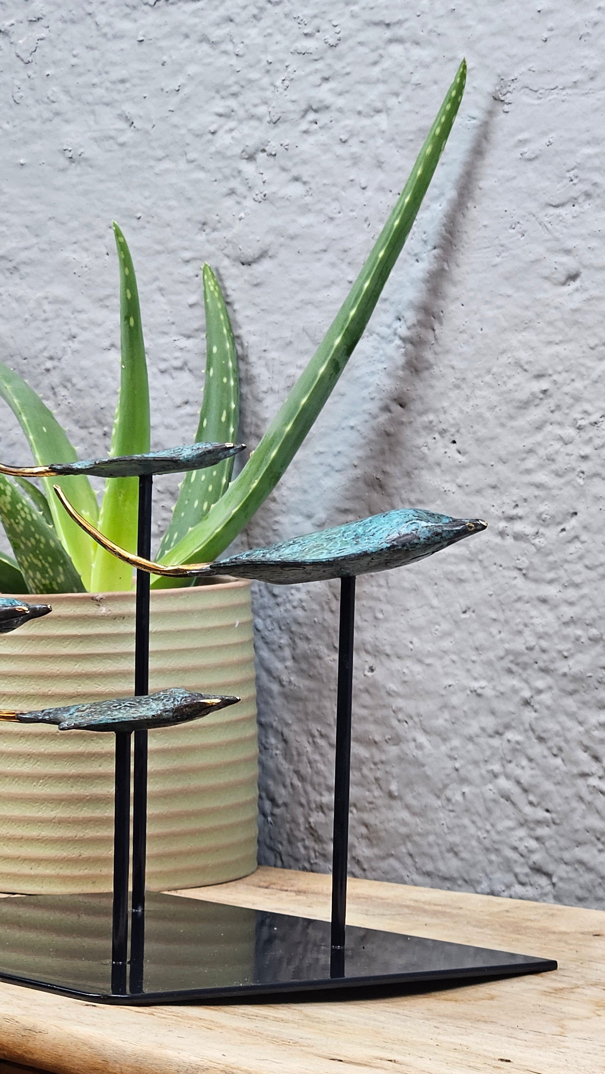 4 raies manta en bronze socle carré Tokolausanne