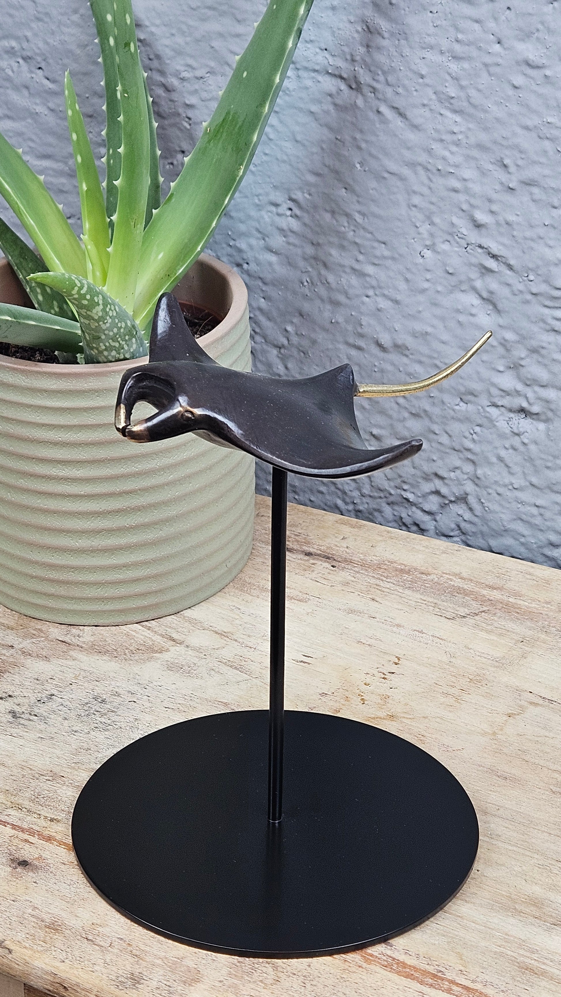 Raie manta en bronze Tokolausanne