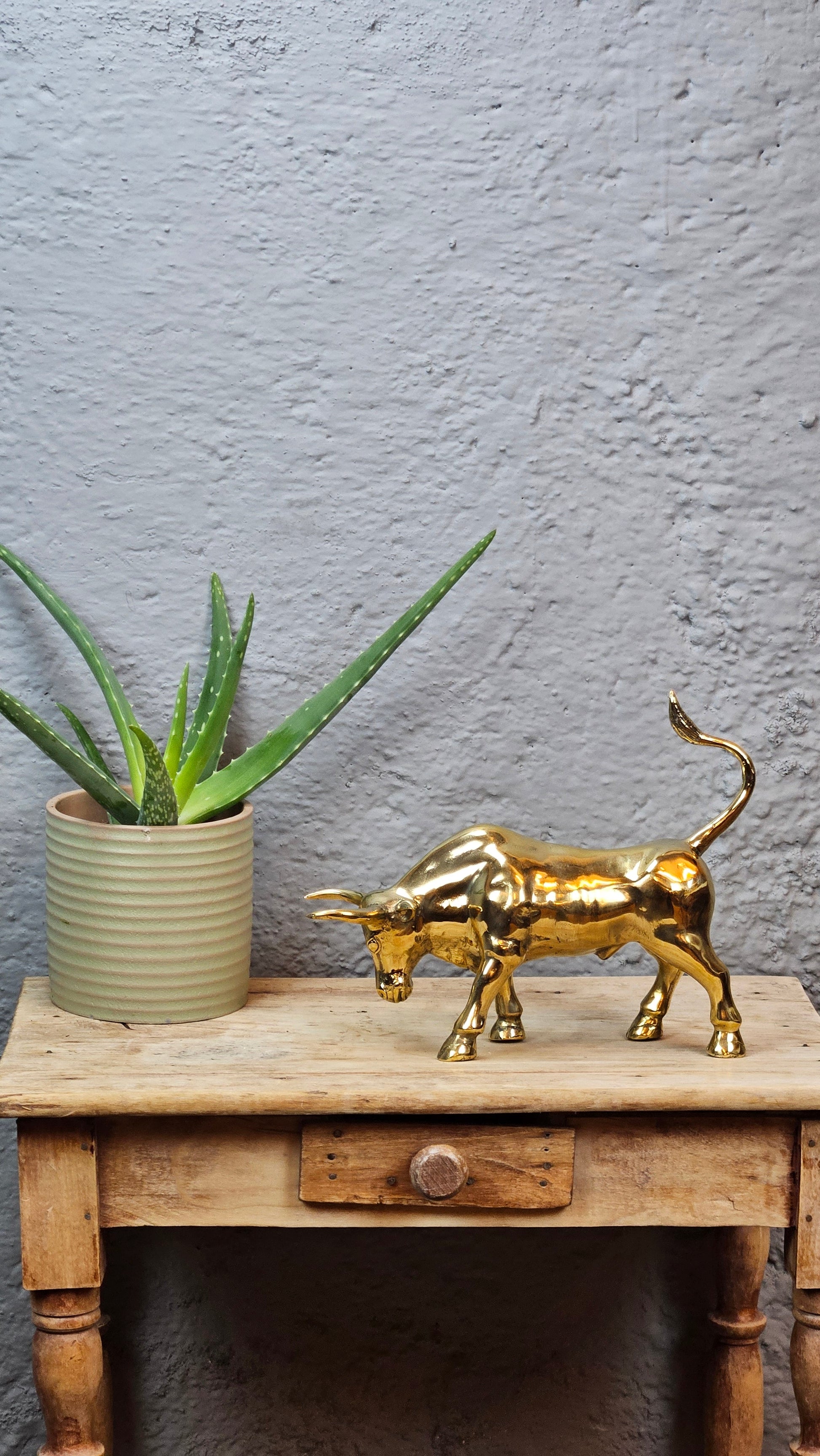 Petit torreau or Tokolausanne